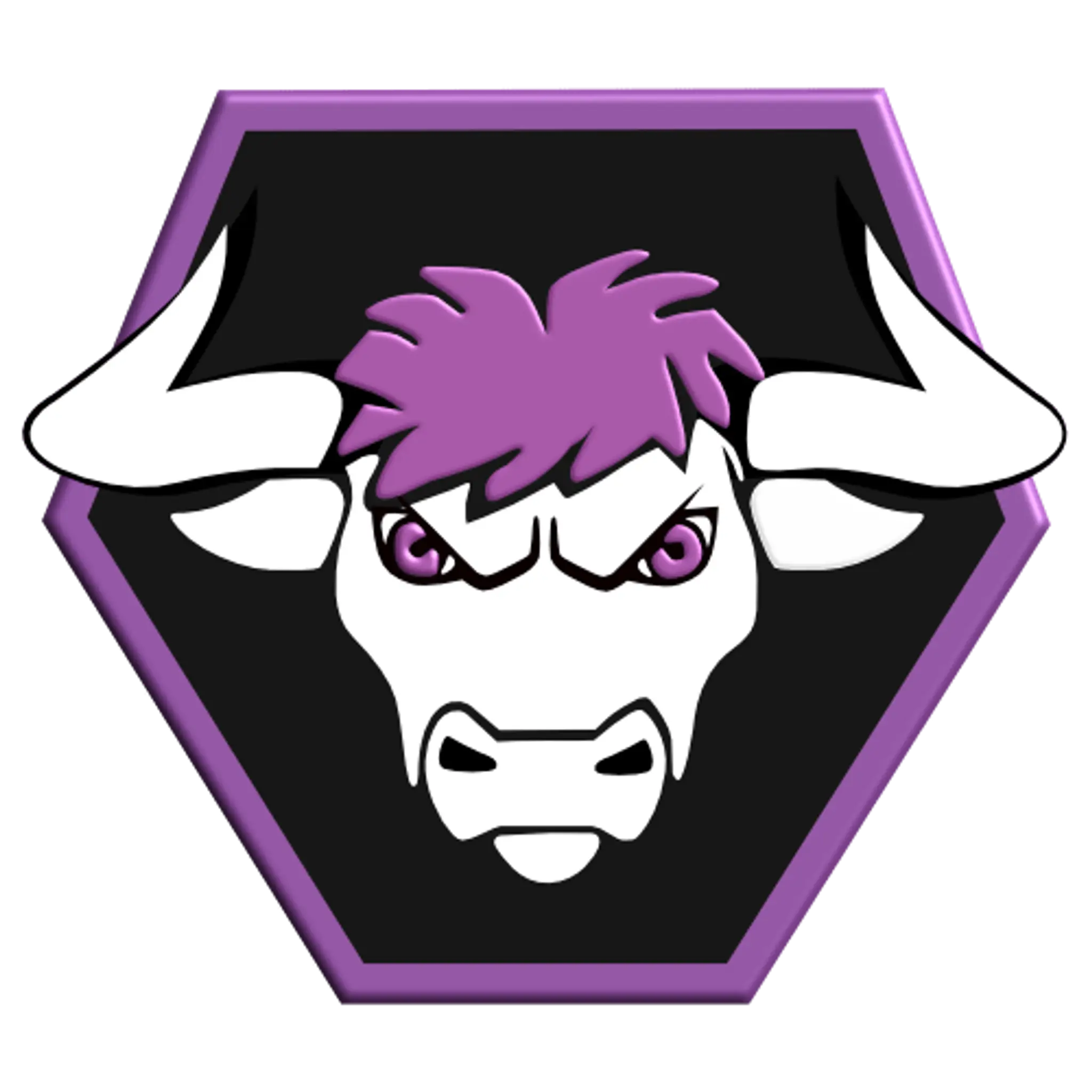 Bolsover Bulls RFL Club