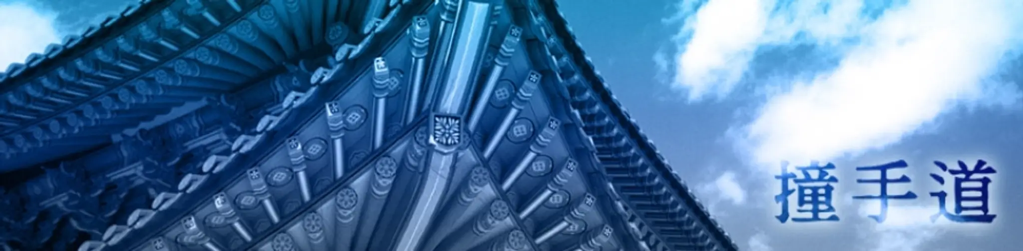 Llangynwyd Tang Soo Do