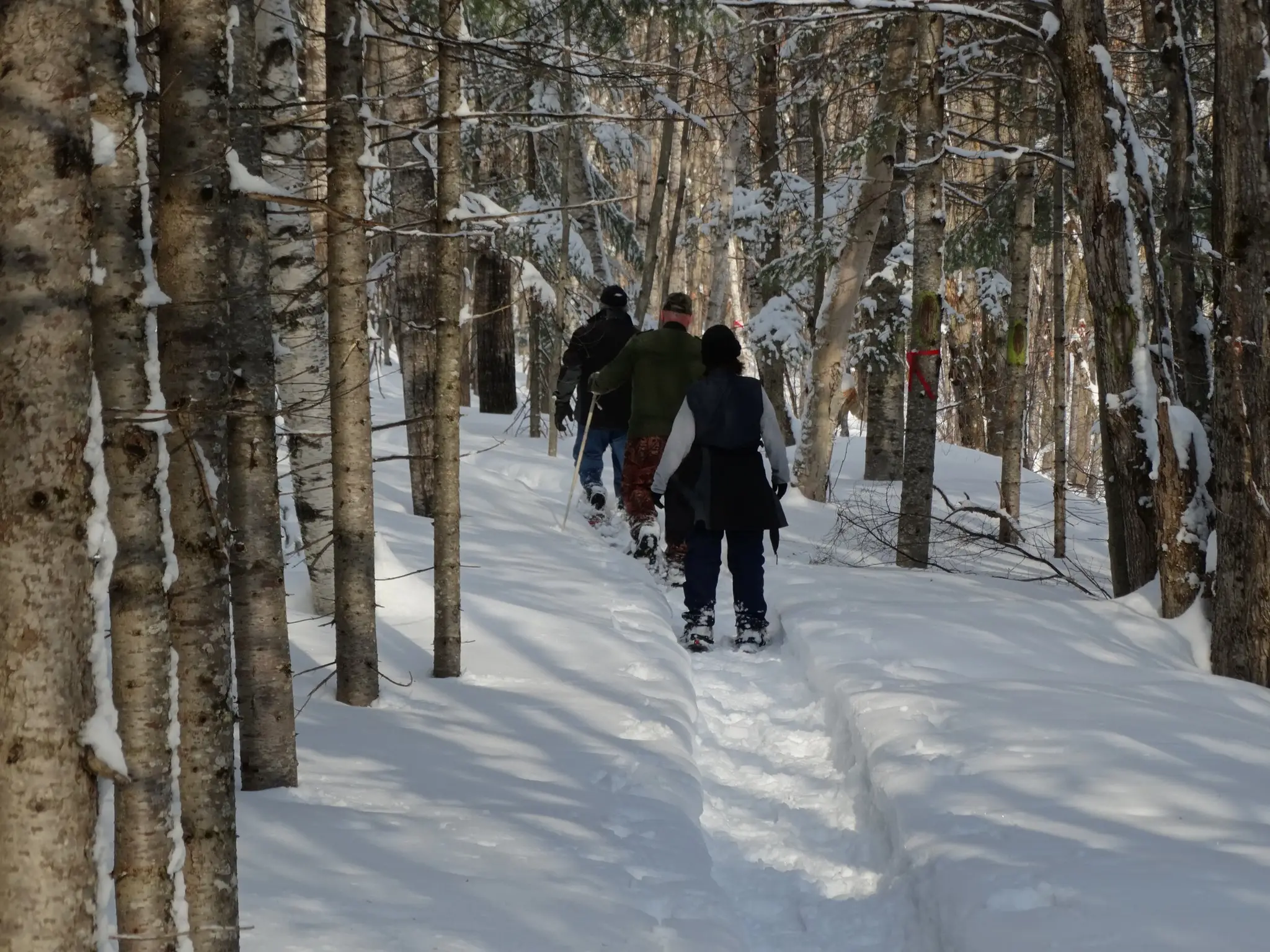Centre de ski de fond Grande-Rivre