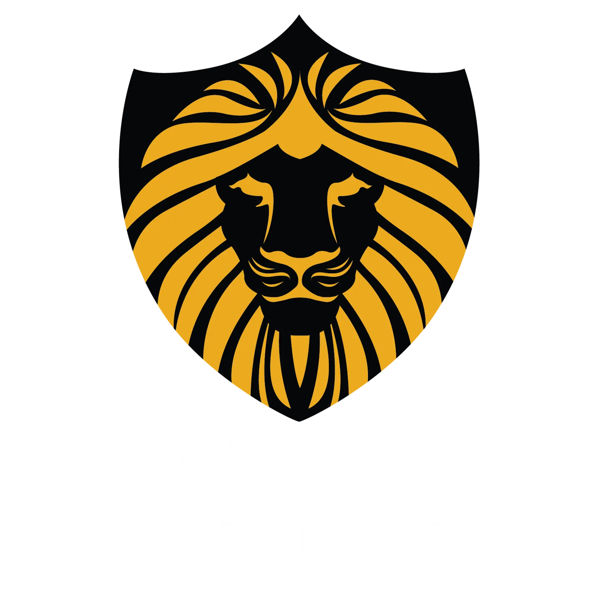 Veneto Cycling Club