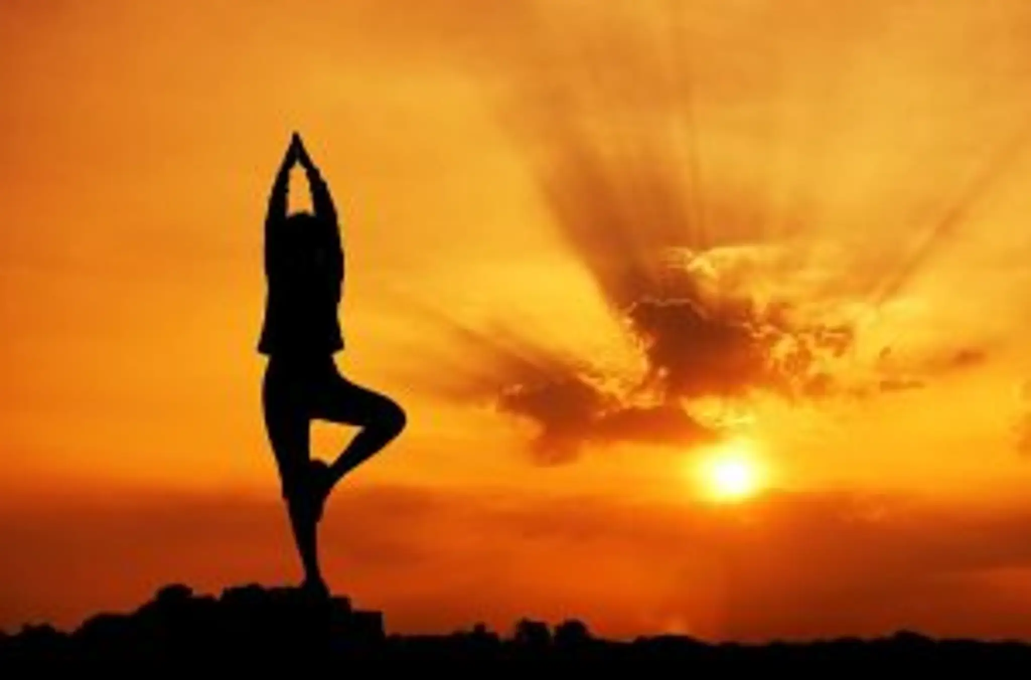 Maharishi Dayanand Yoga Institute Kanpur