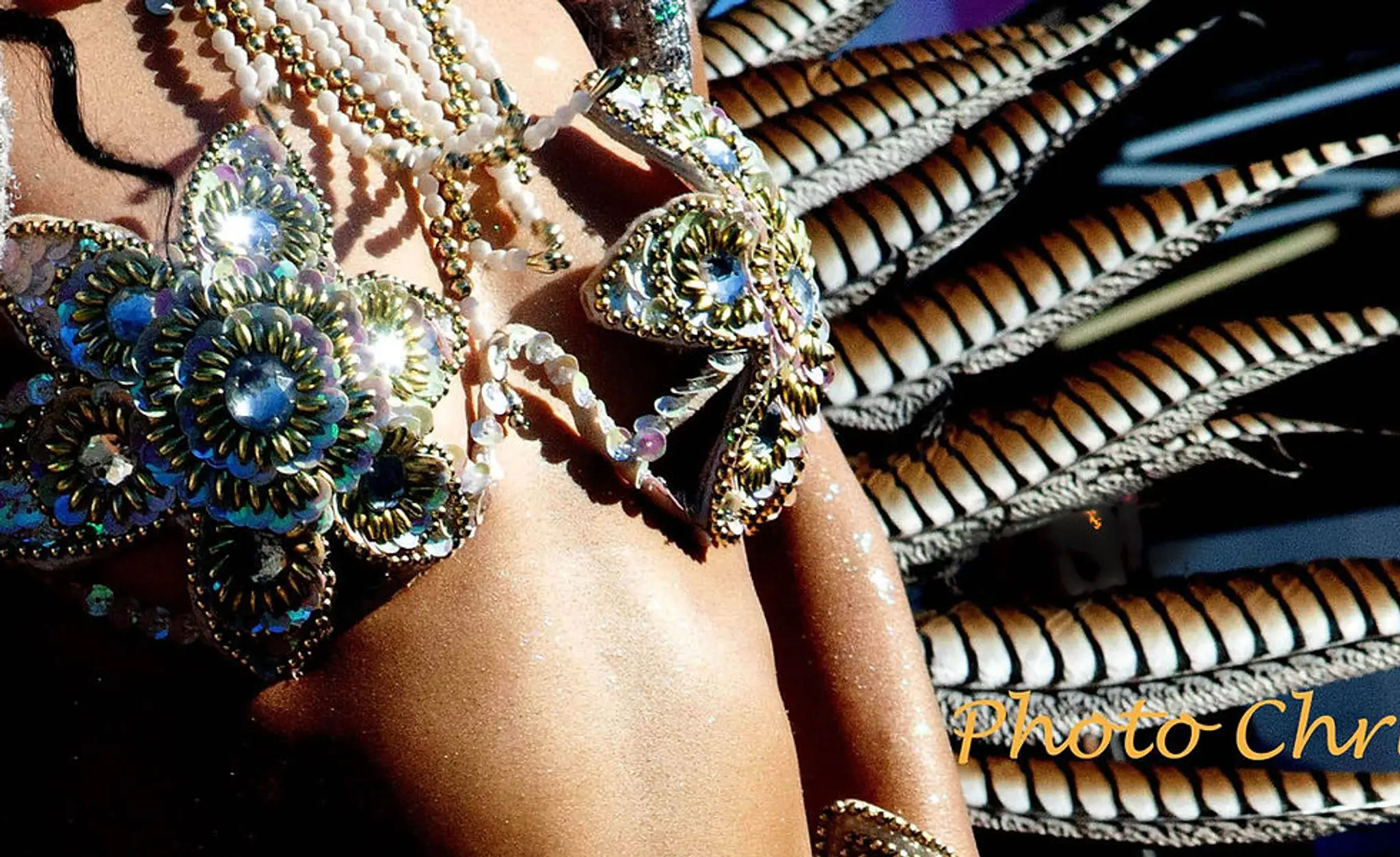 Priscilla Dance Show