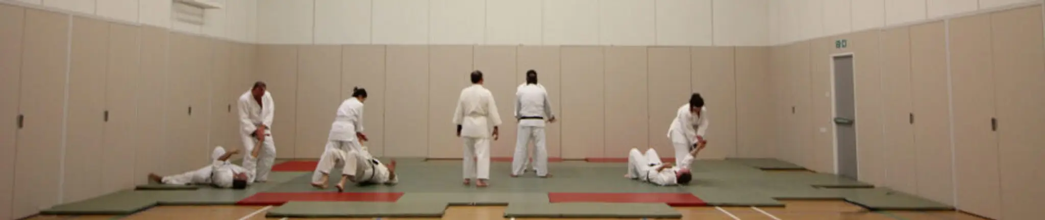 Epsom and Ewell Aikido Society