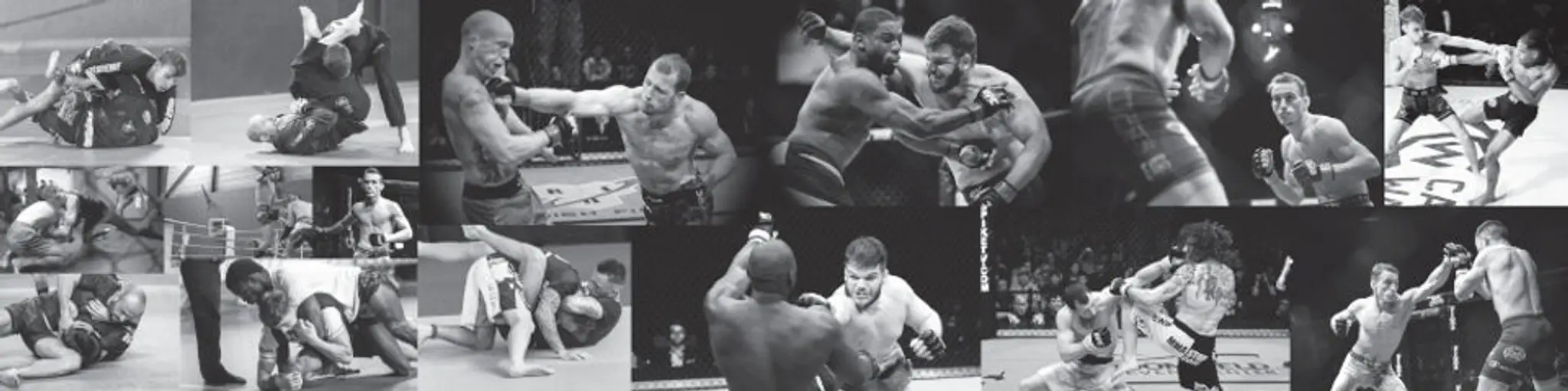 Bushido Académie : MMA, Jiu-jitsu brésilien, baby arts martiaux,