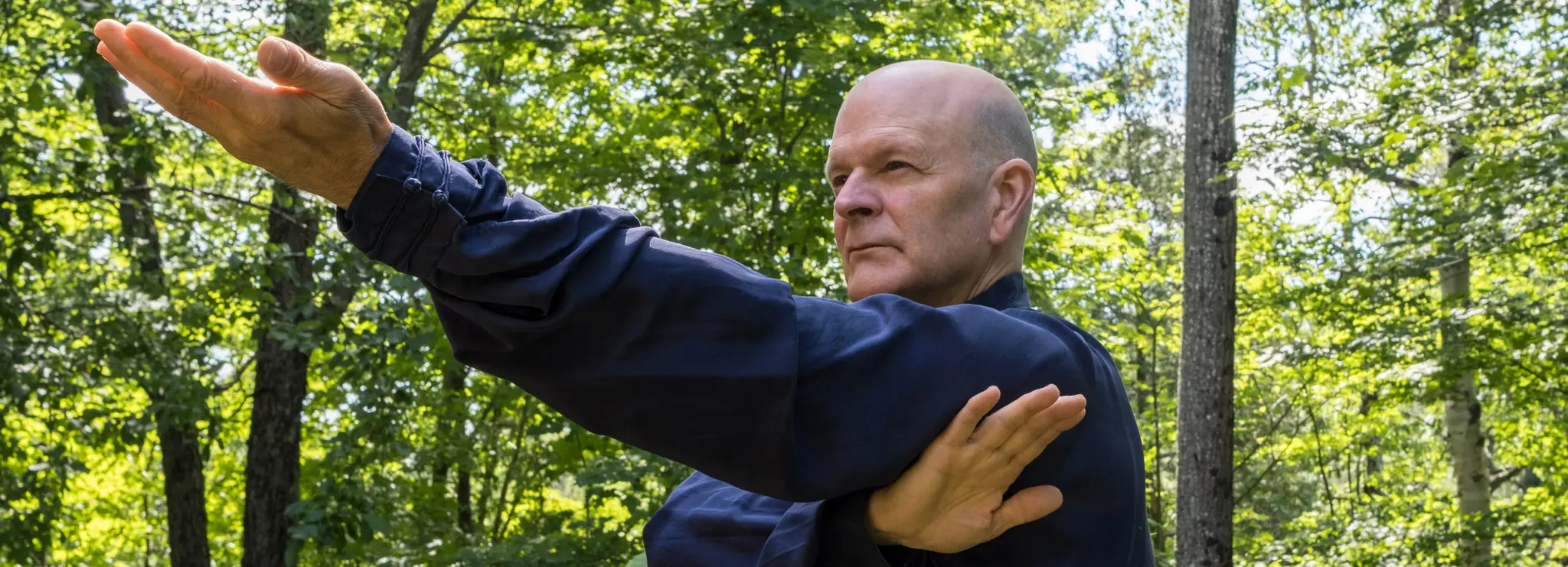 School Tai Chi Des Laurentides