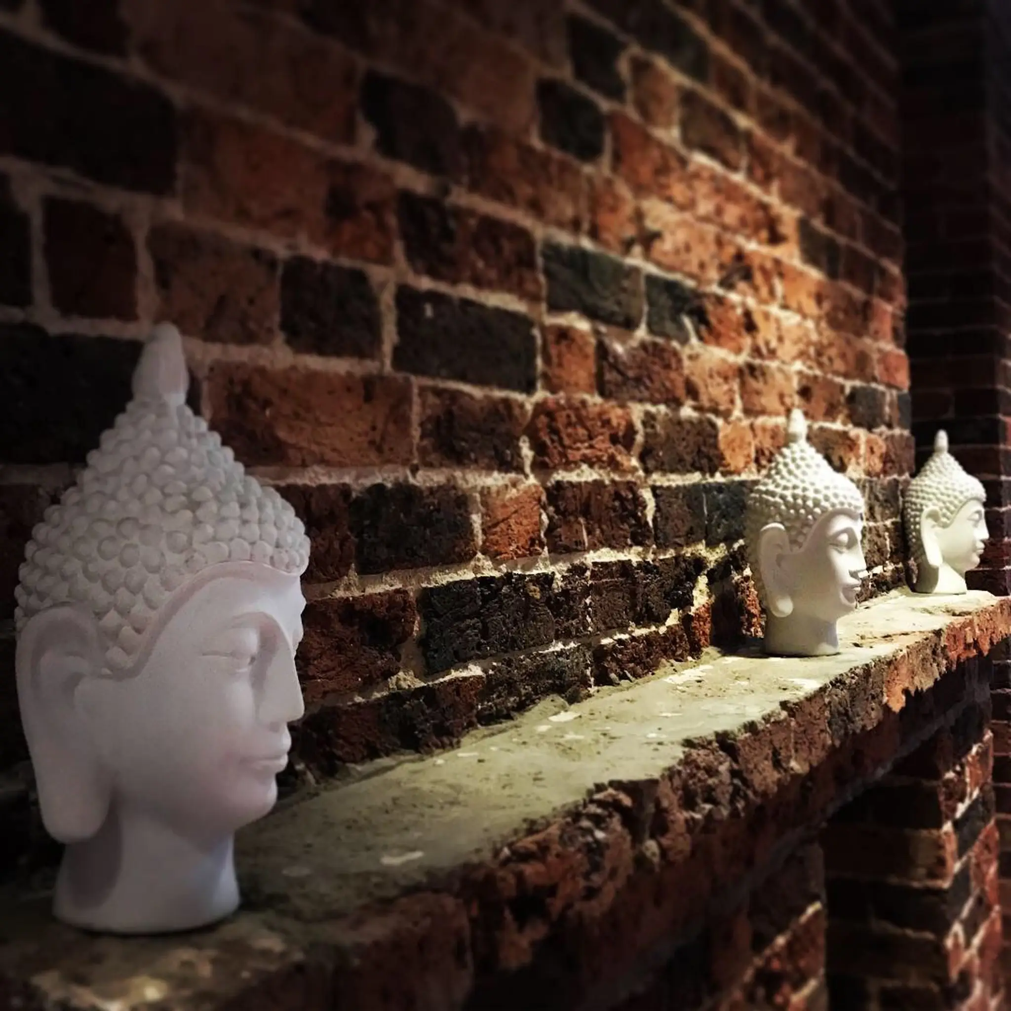 The Yoga Life studio