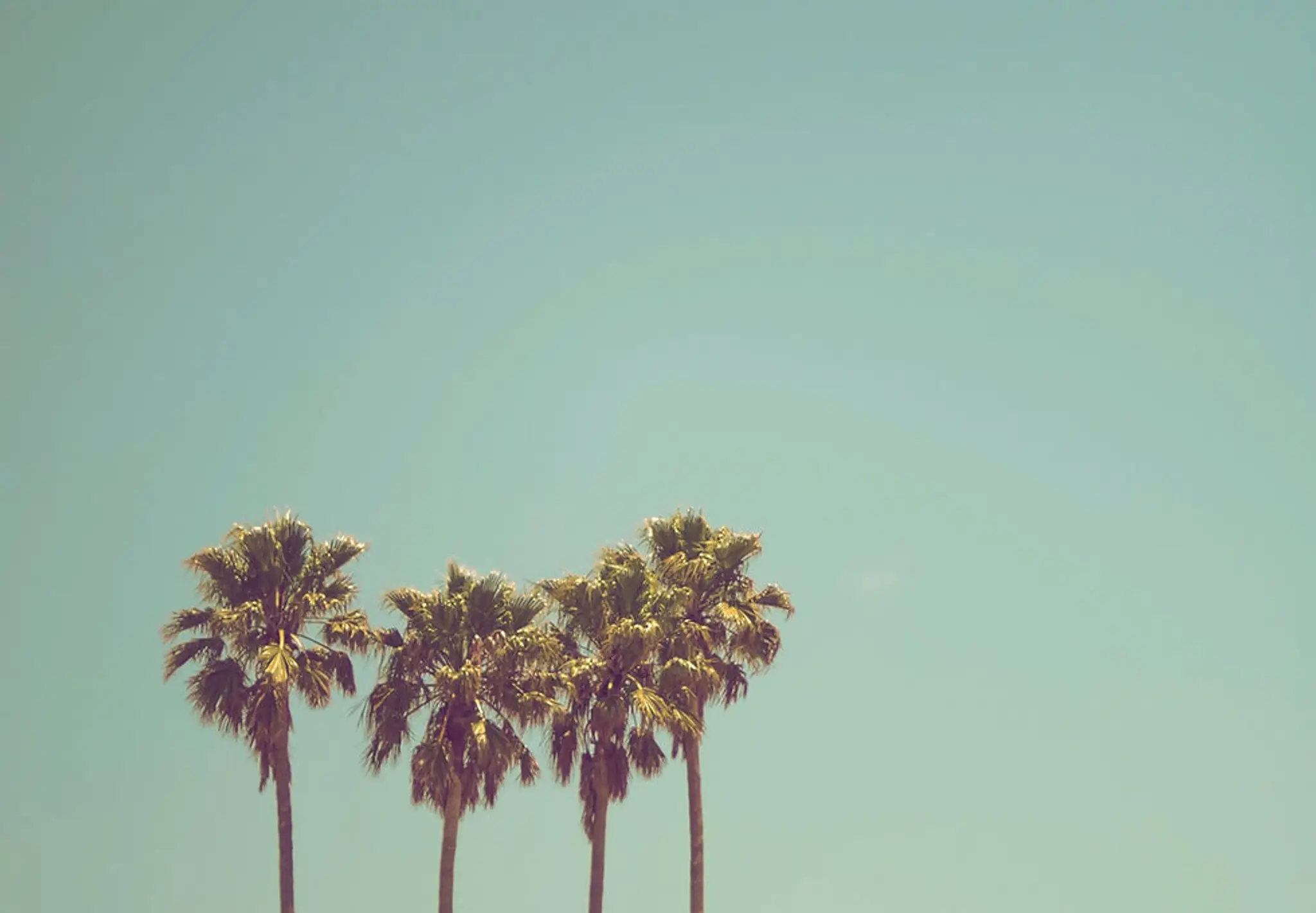 Littlehummingbirdpilates