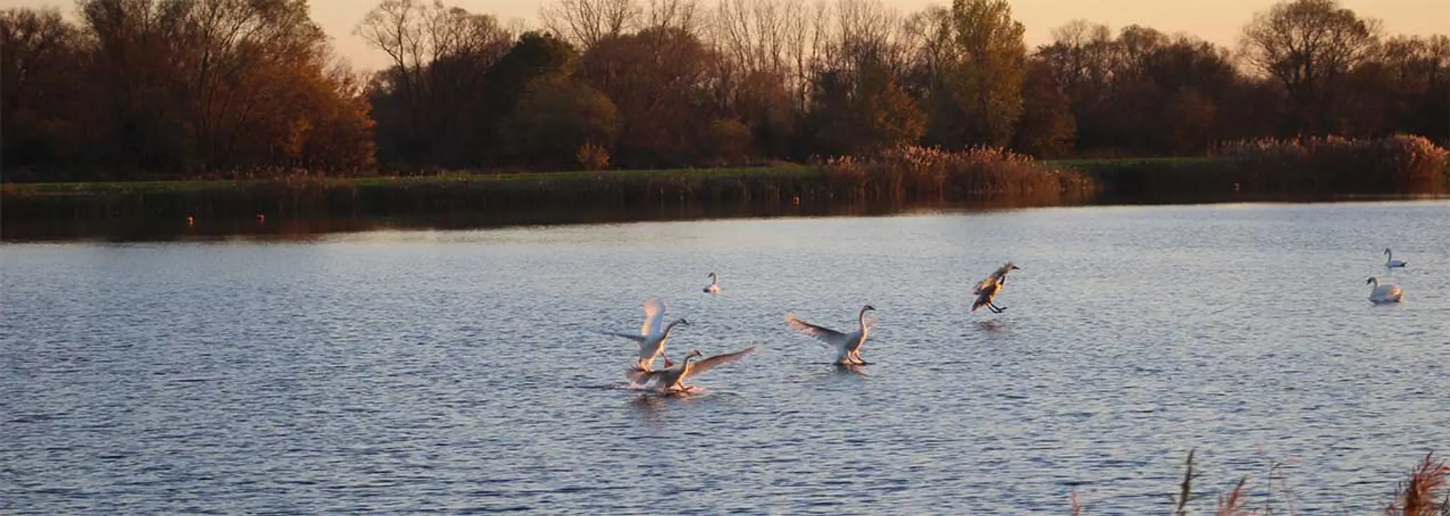 Canoe kayak club de Mondelange