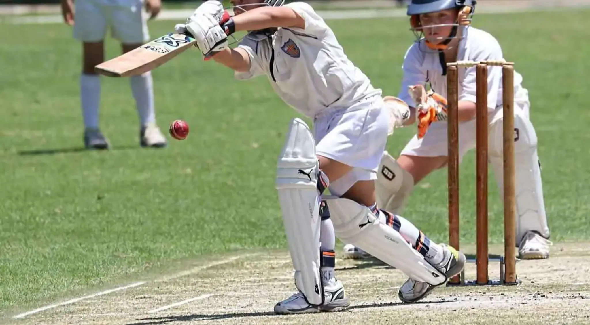 Spider Cricket Academy