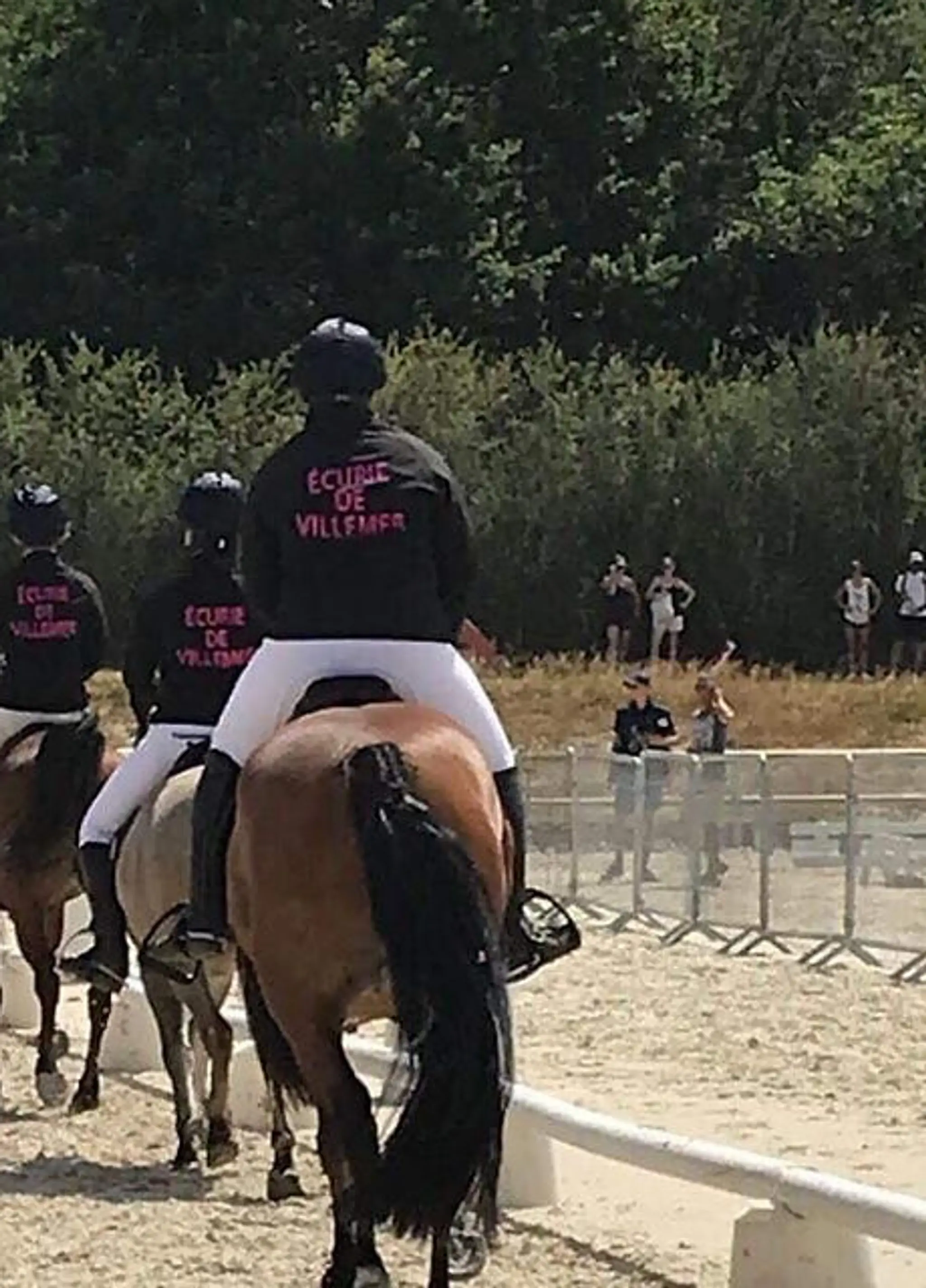 Les Ecuries De Villemer Villemer