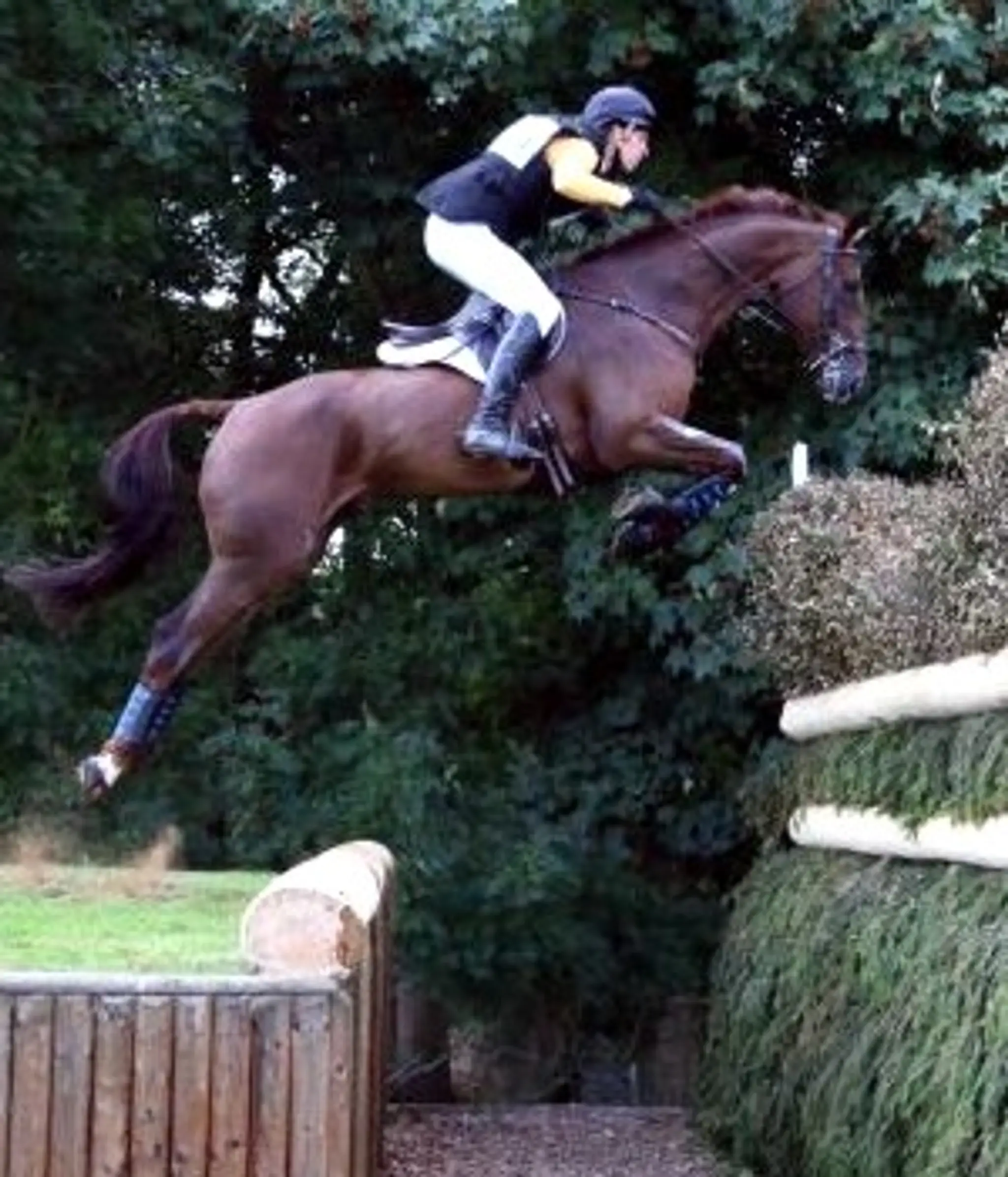 Chescombe Eventing Ltd.