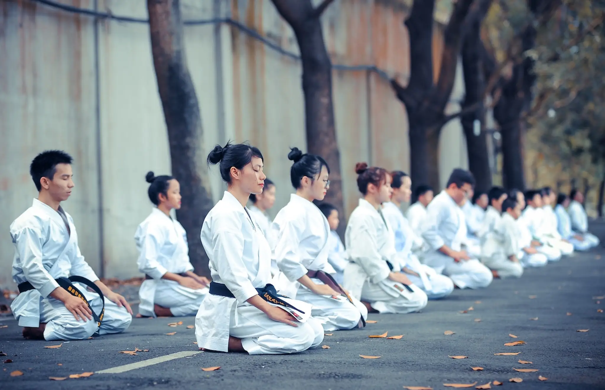 Seishin karate do