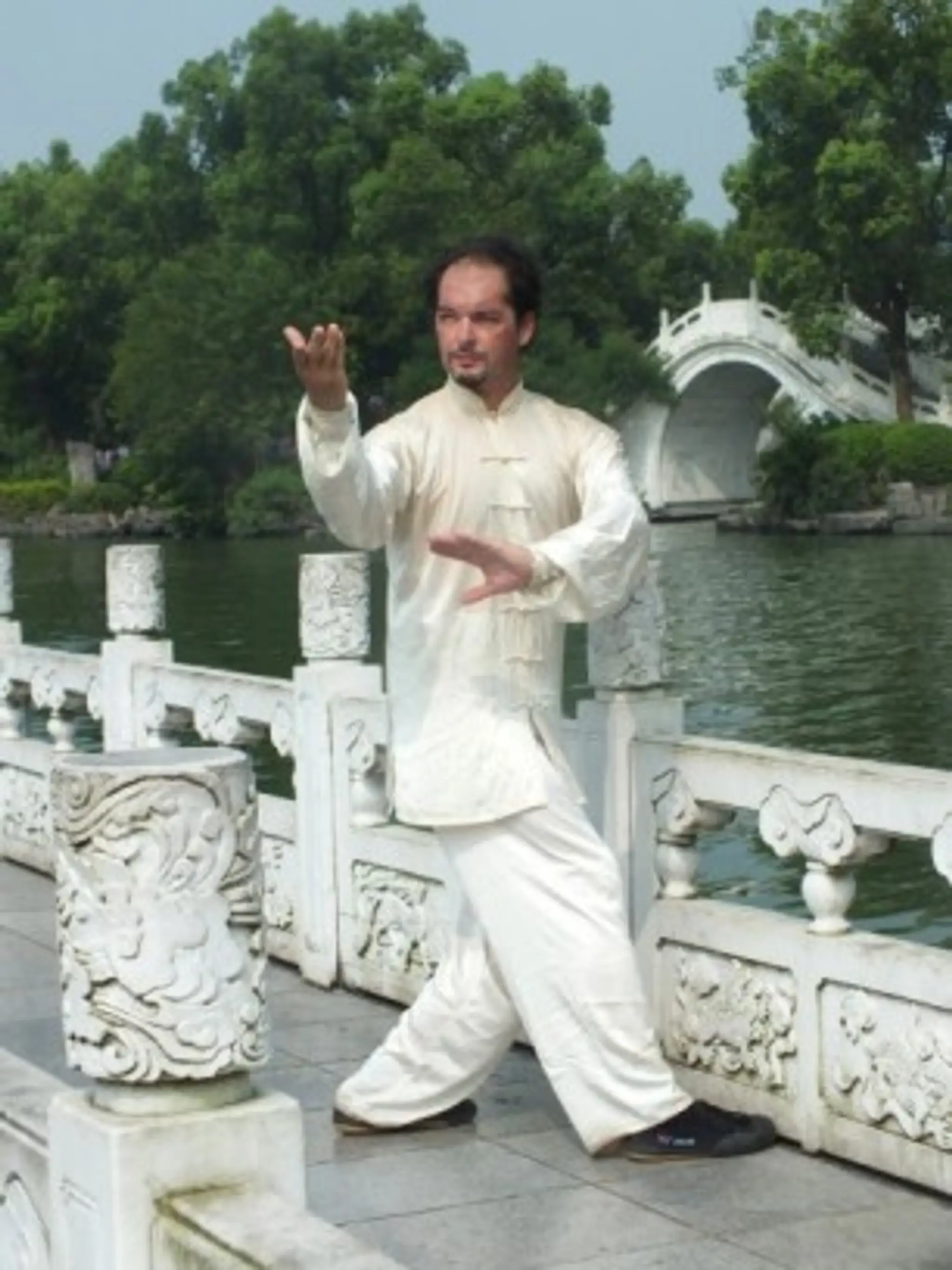 Ecole Yizong d'Arts martiaux chinois Taichi - KungFu - Qigong Porte de Lyon