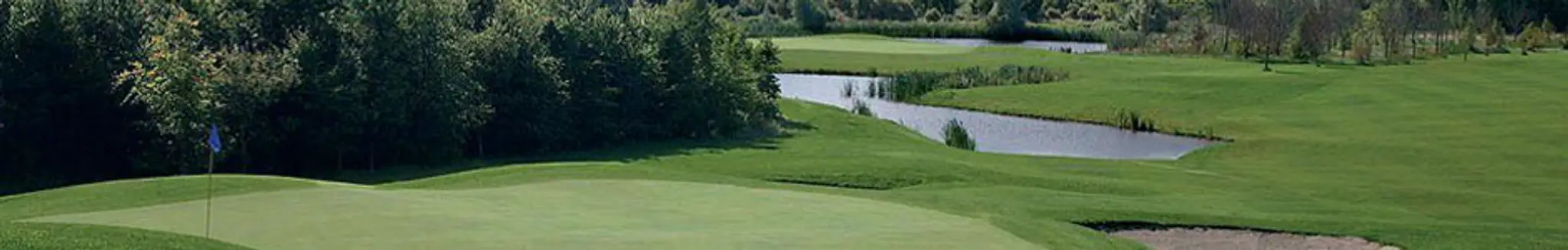 Ballyneety Golf Club