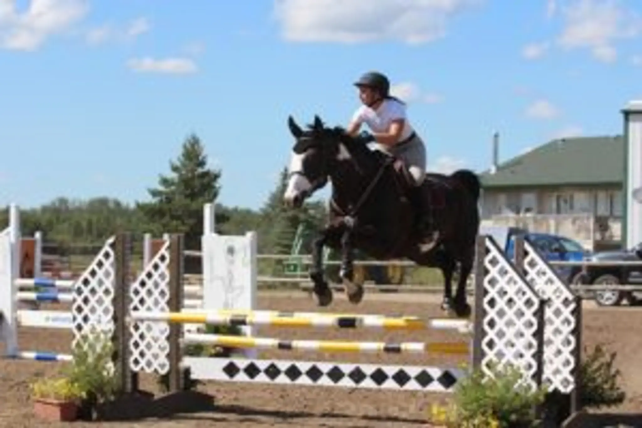 Blarney Stone Farms