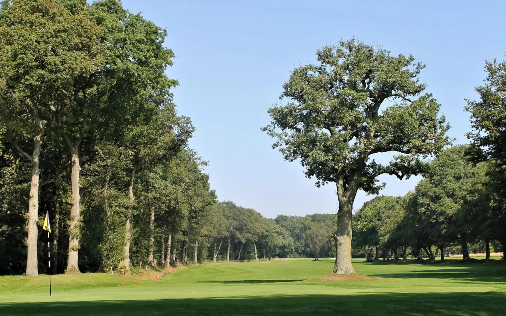 Ladbrook Park Golf Club