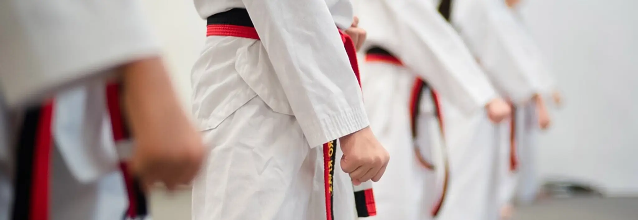 Trifecta Martial Arts (River Valley)
