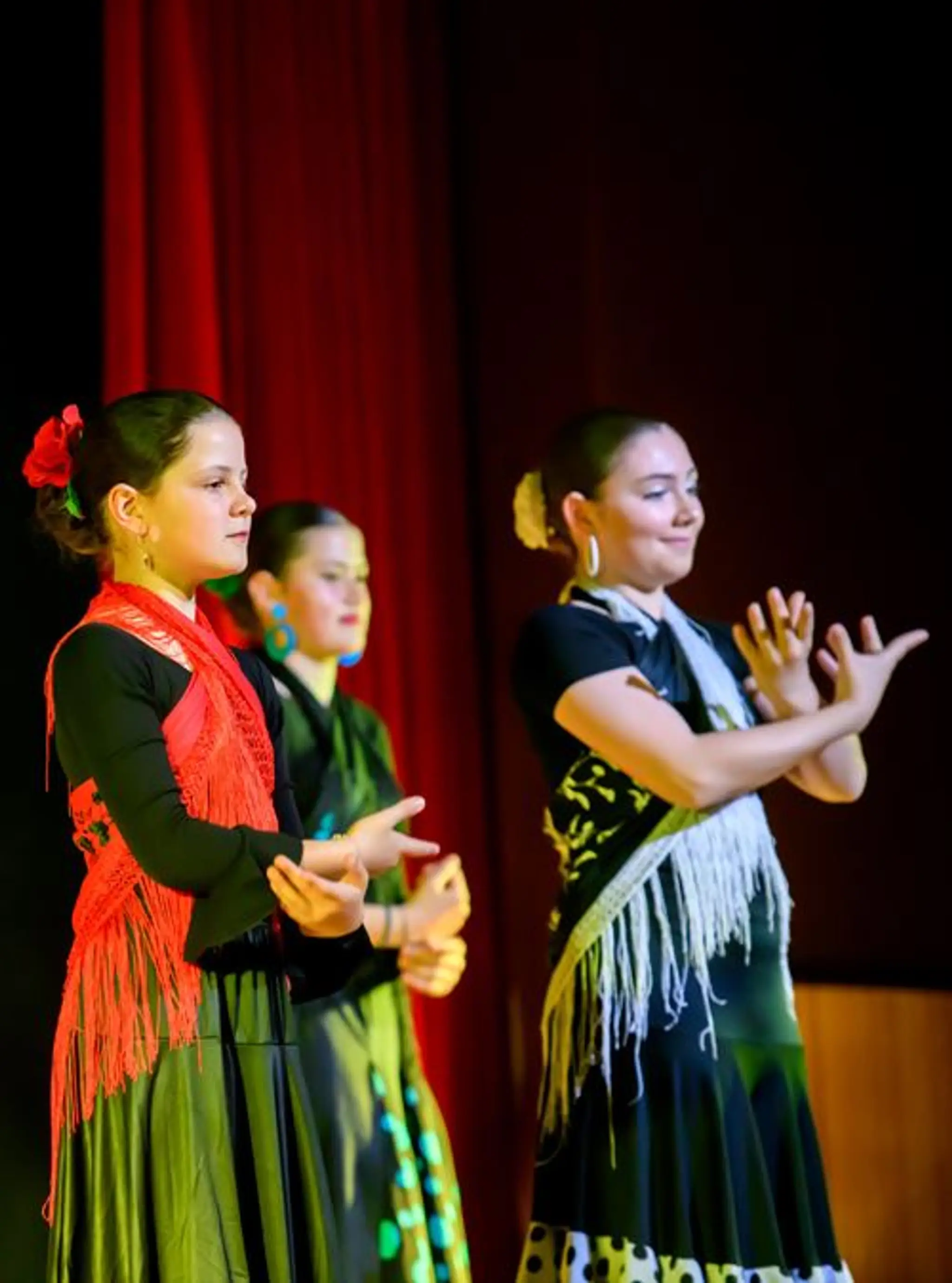 Association Andaluna Flamenca TRELISSAC