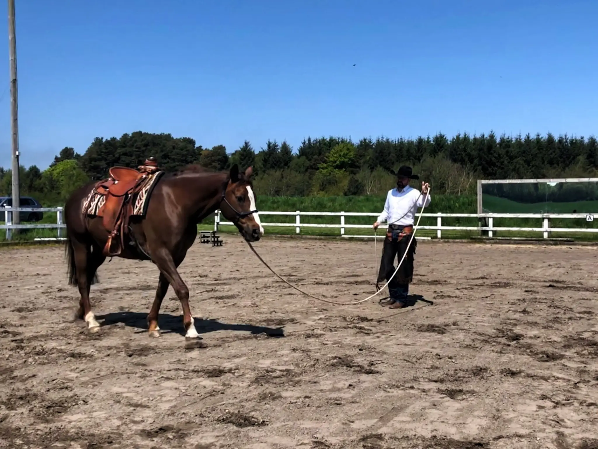 The Meadows Equestrian