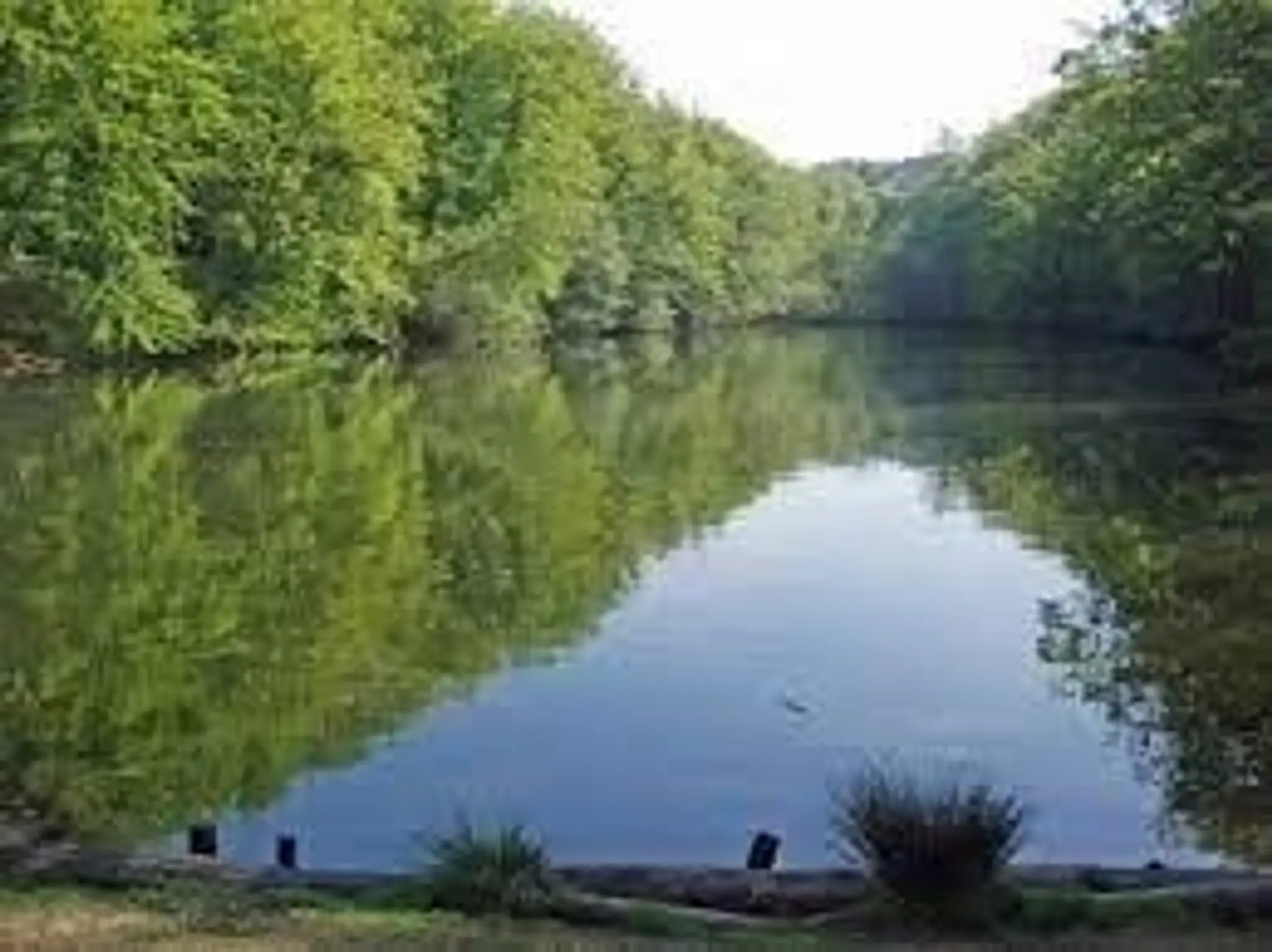 Grayshott Angling Club