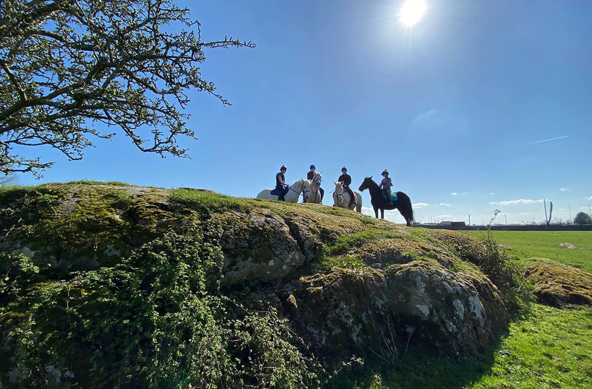 Boskill Equestrian limerick tack shop Trekking centre Homestay co limerick