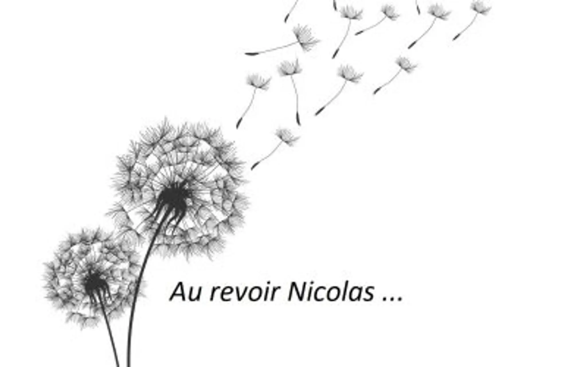 PLM Eaubonne - Fitness et Pilâtes