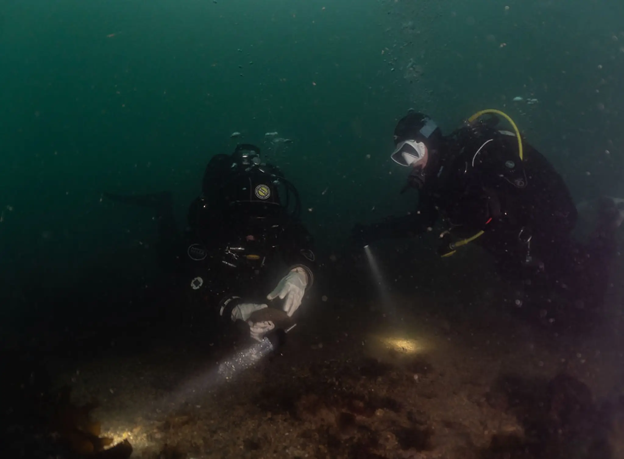 Potteries Divers BSAC12