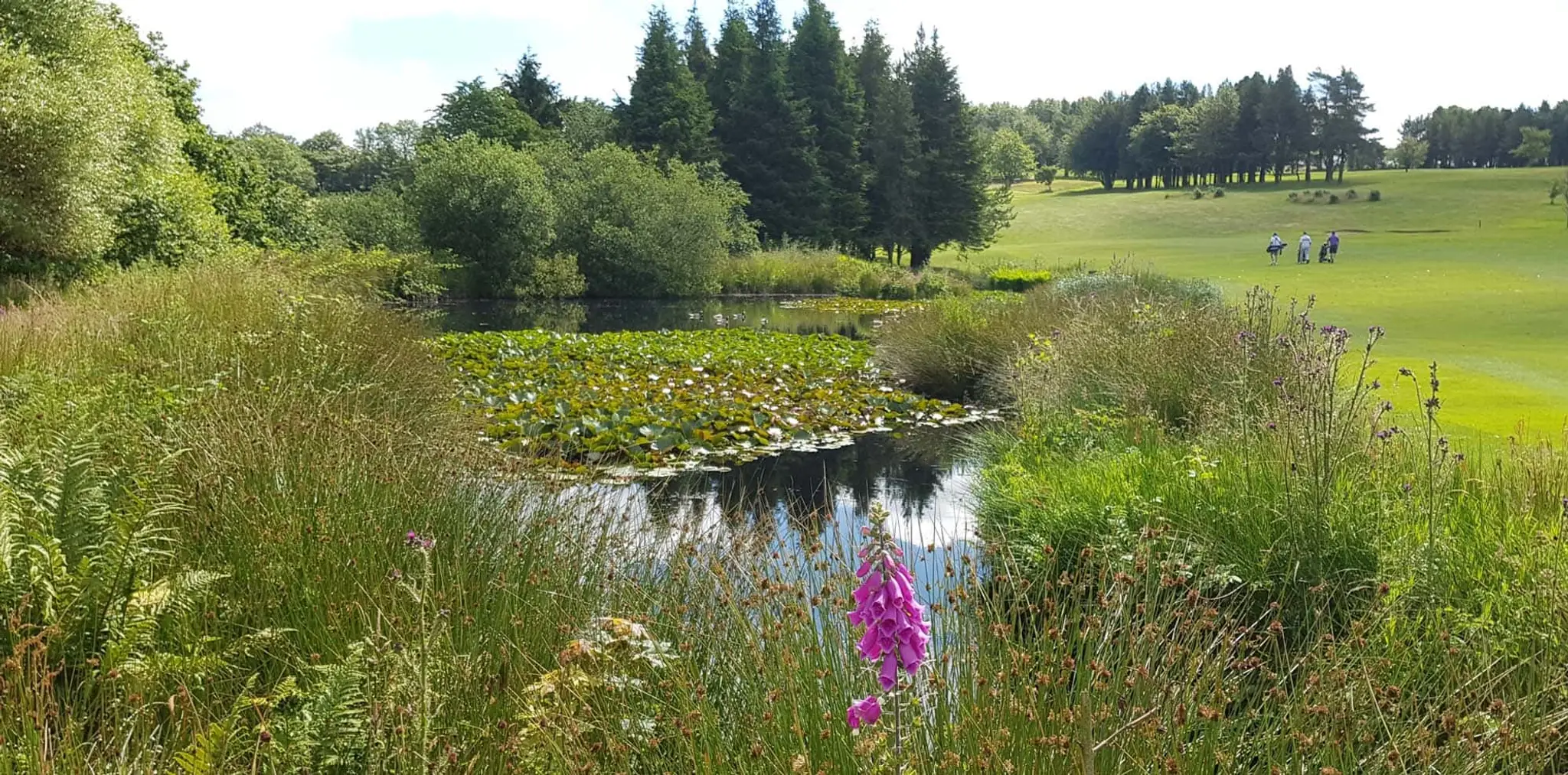 The Mendip Golf Club