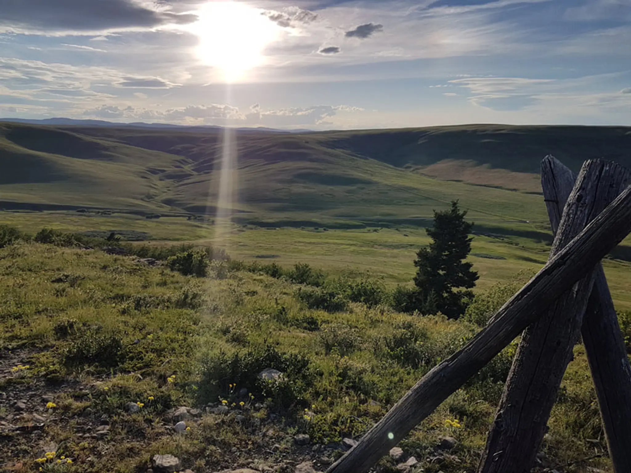 Southern Alberta Bowhunters Association