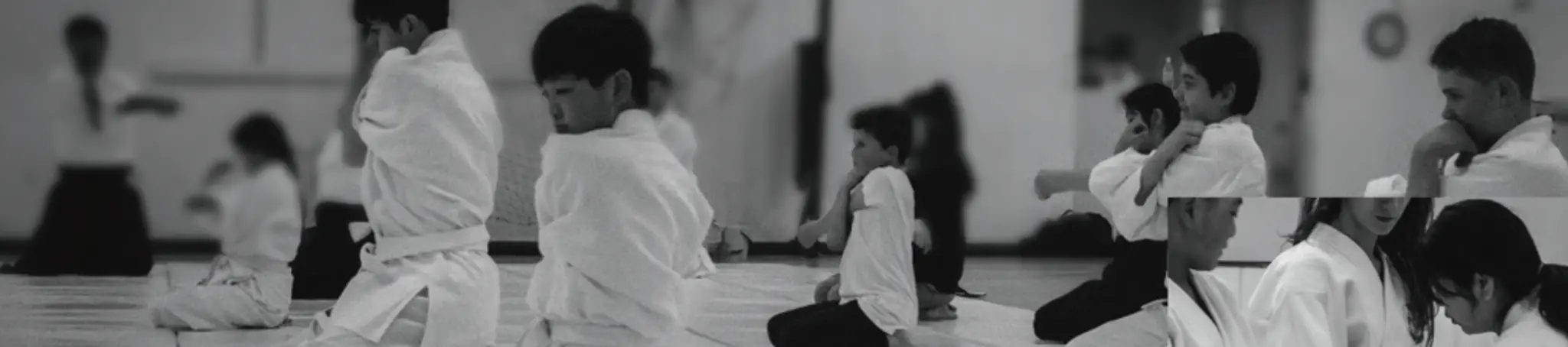 Aikido Tenshindo Wellington