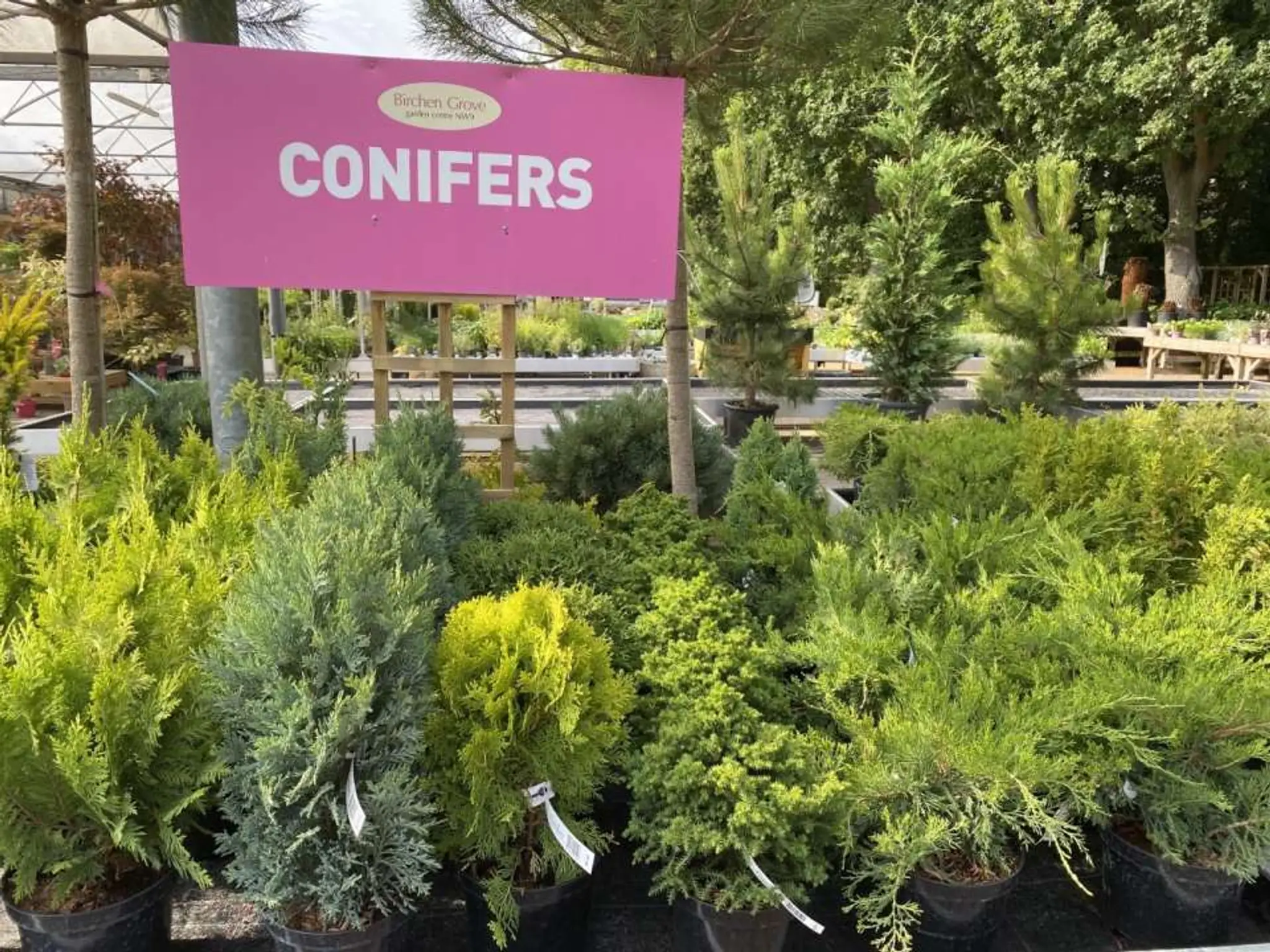 Birchen Grove Garden Centre