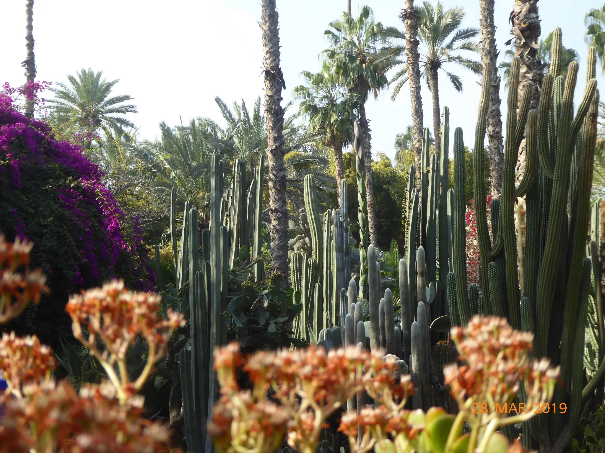 Association Jonathan