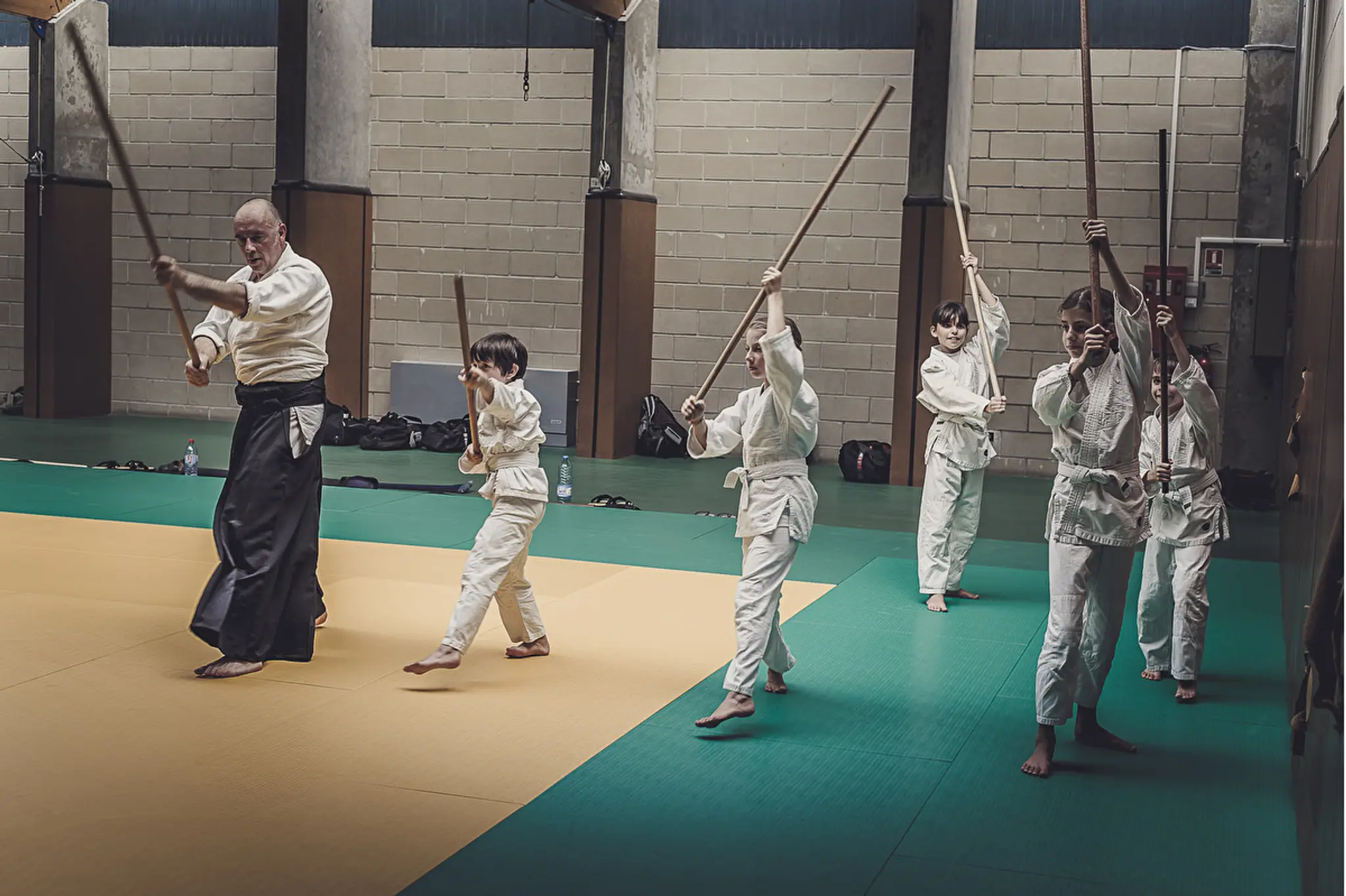 Aikido Aikikai Yonnais La Roche Sur Yon