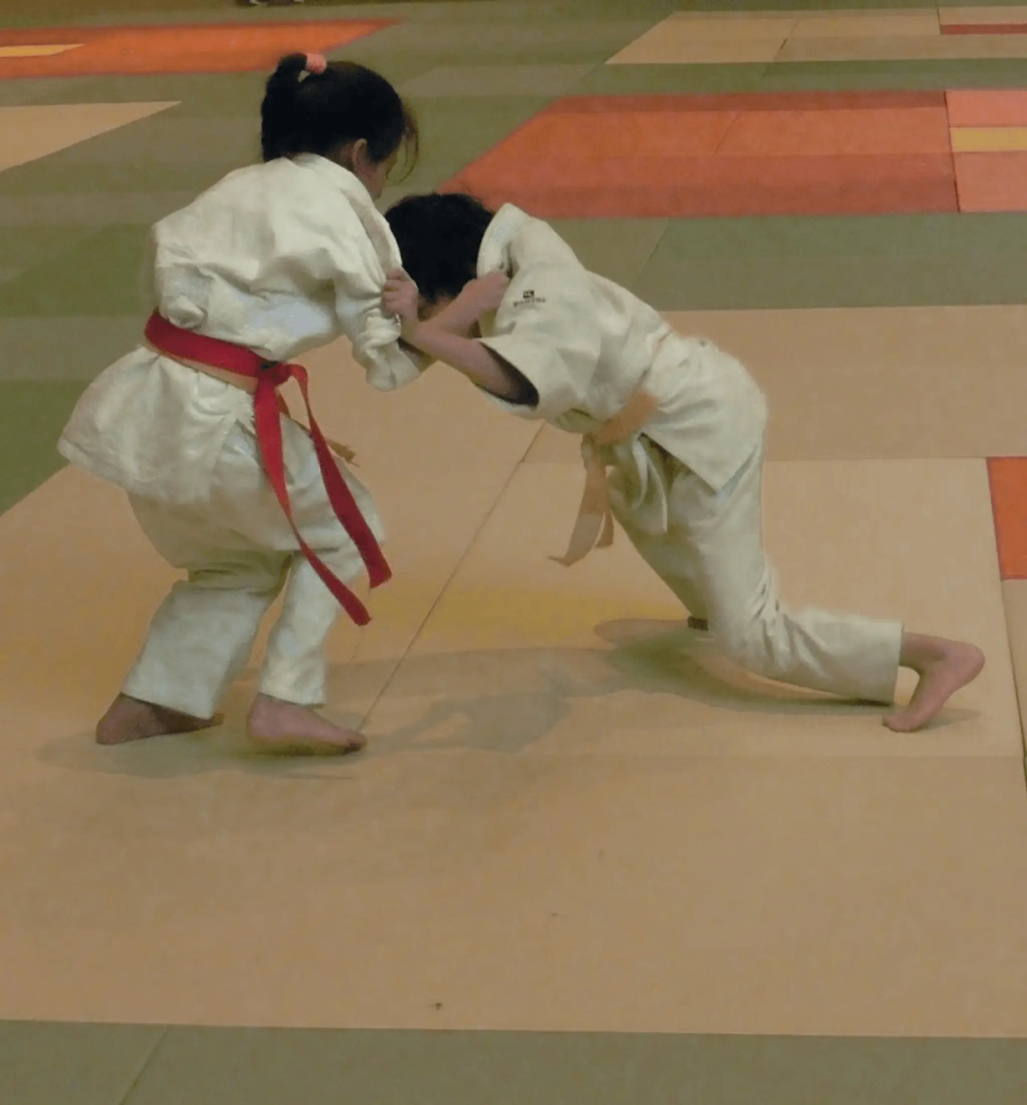 Ussp Amikuze Judo