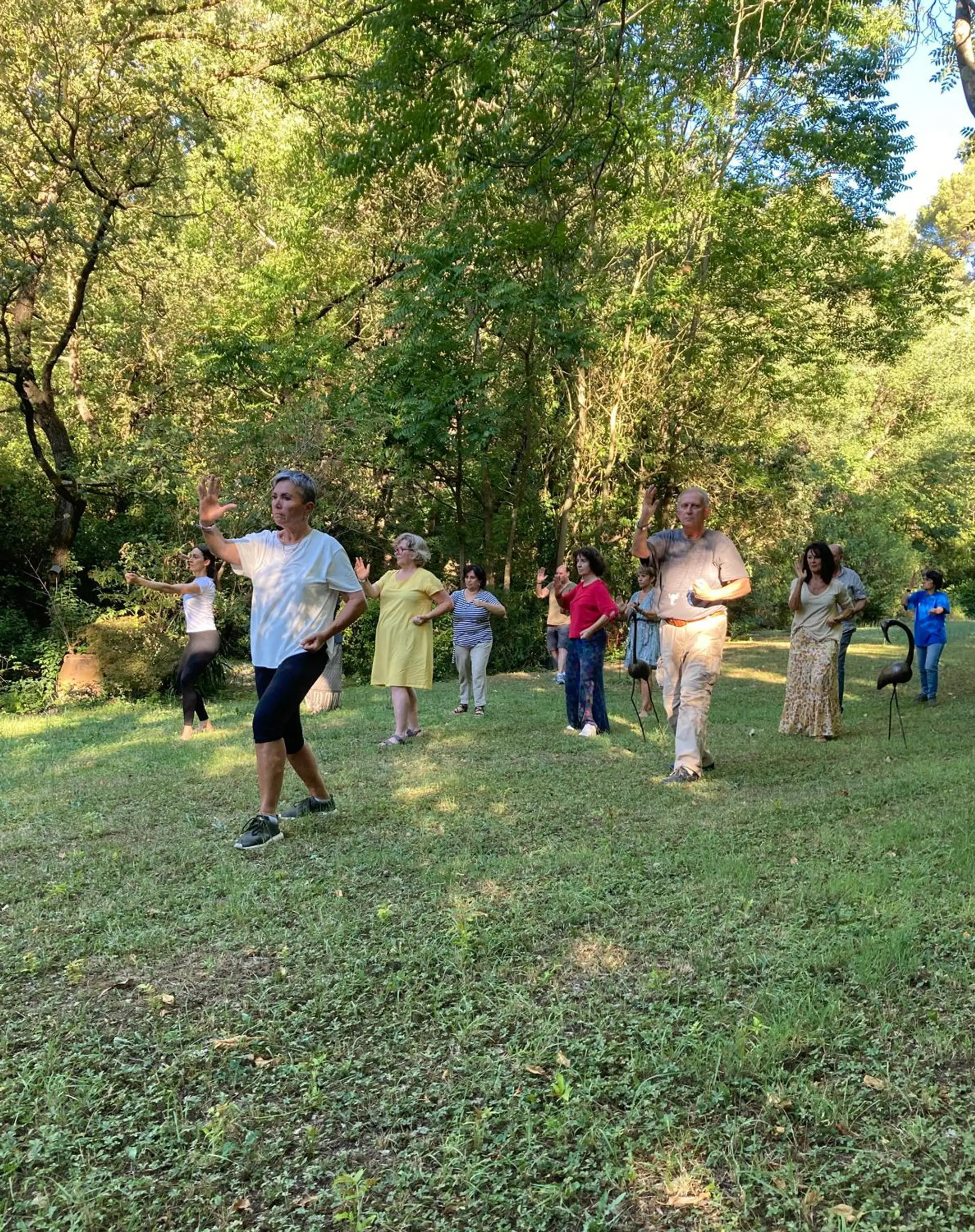 Alignment Tai Chi Chuan -