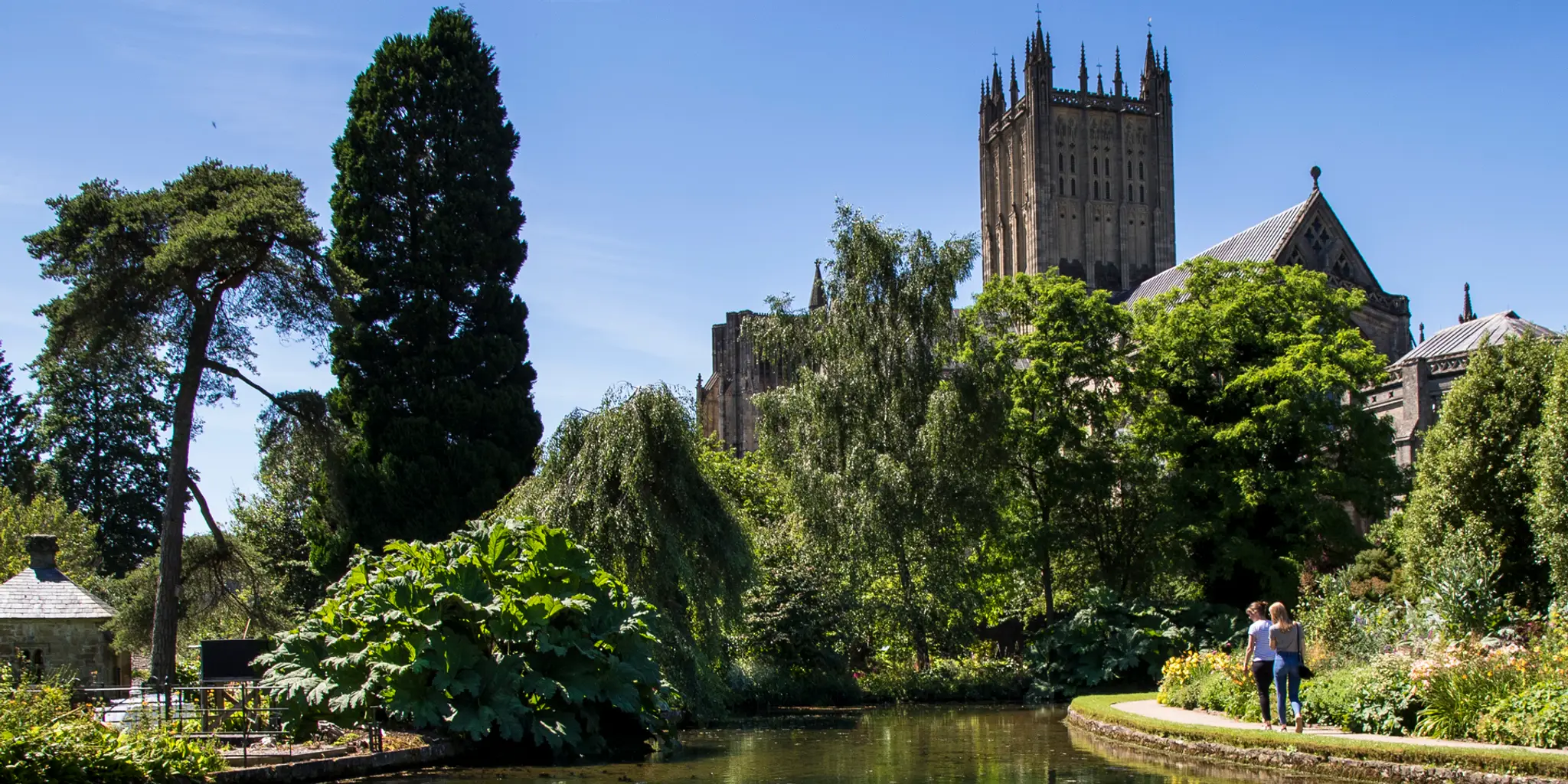 Your Health and Wellbeing Mendip