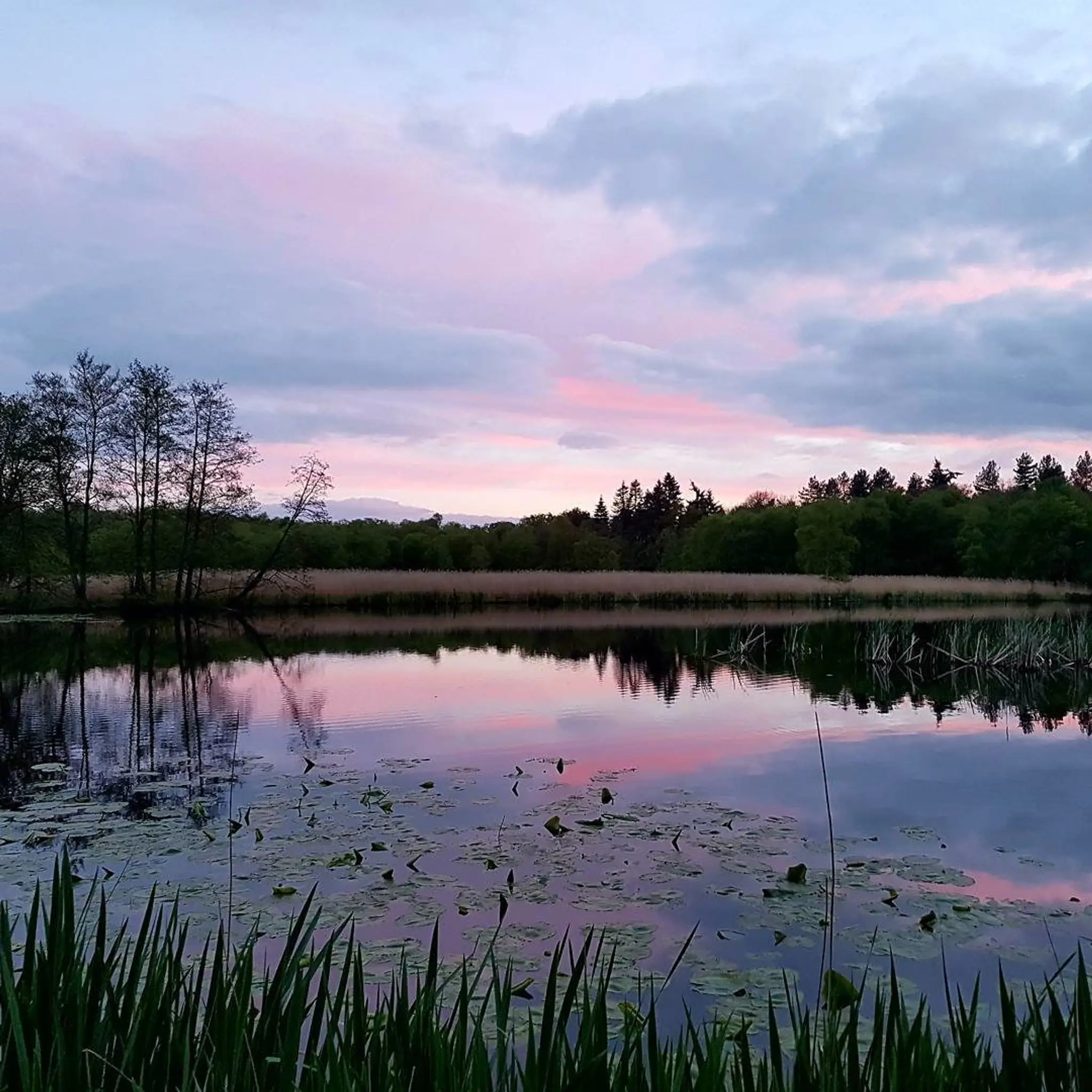 Scoulton Mere Fishery