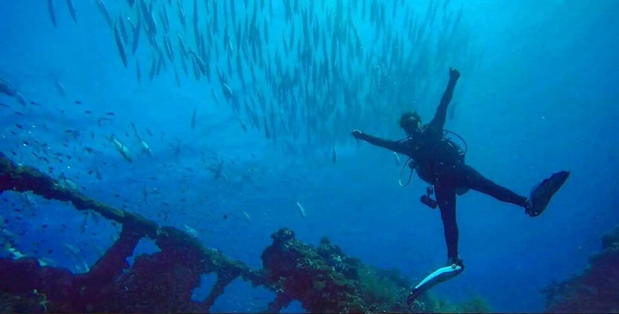 Pro Dive Magnetic Island