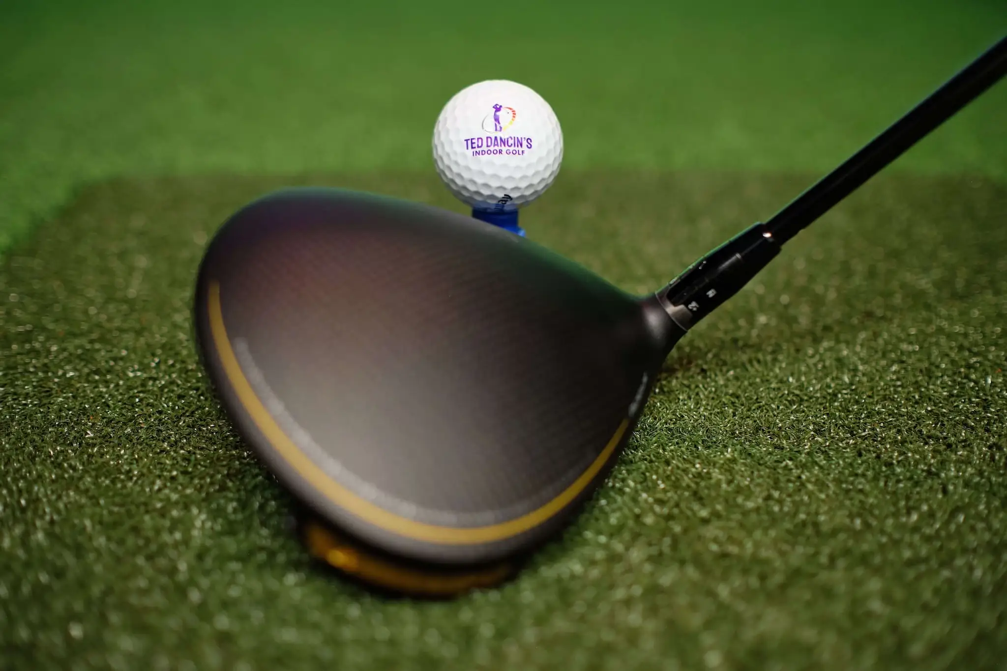 Ted Dancin's Indoor Golf