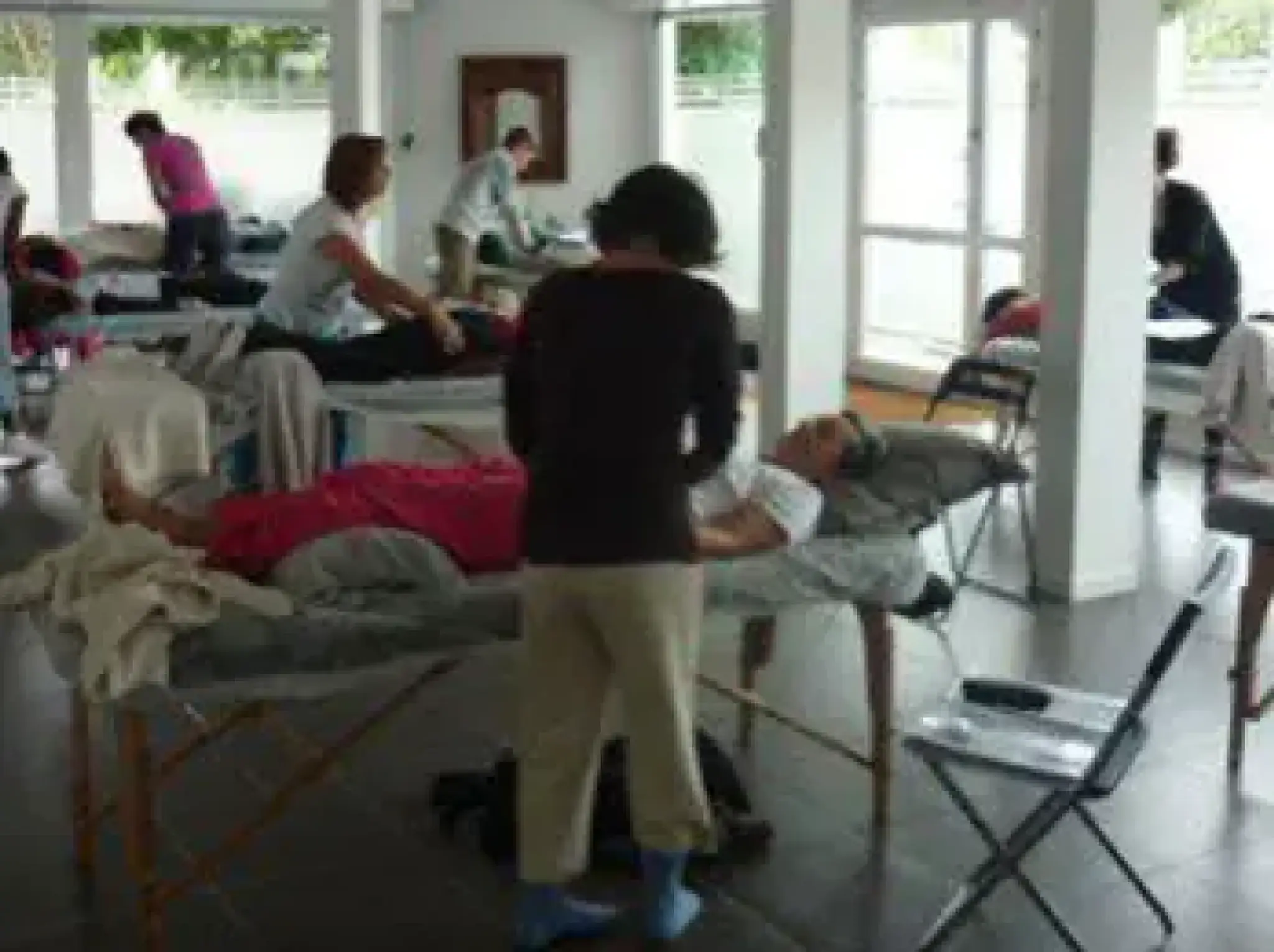 Institute Chinese Medicine De Toulouse