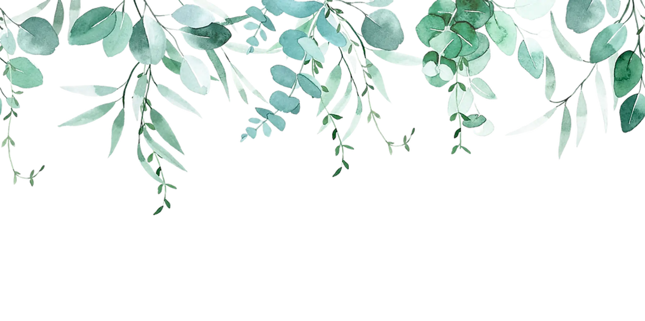 Breathe Calm Wellbeing