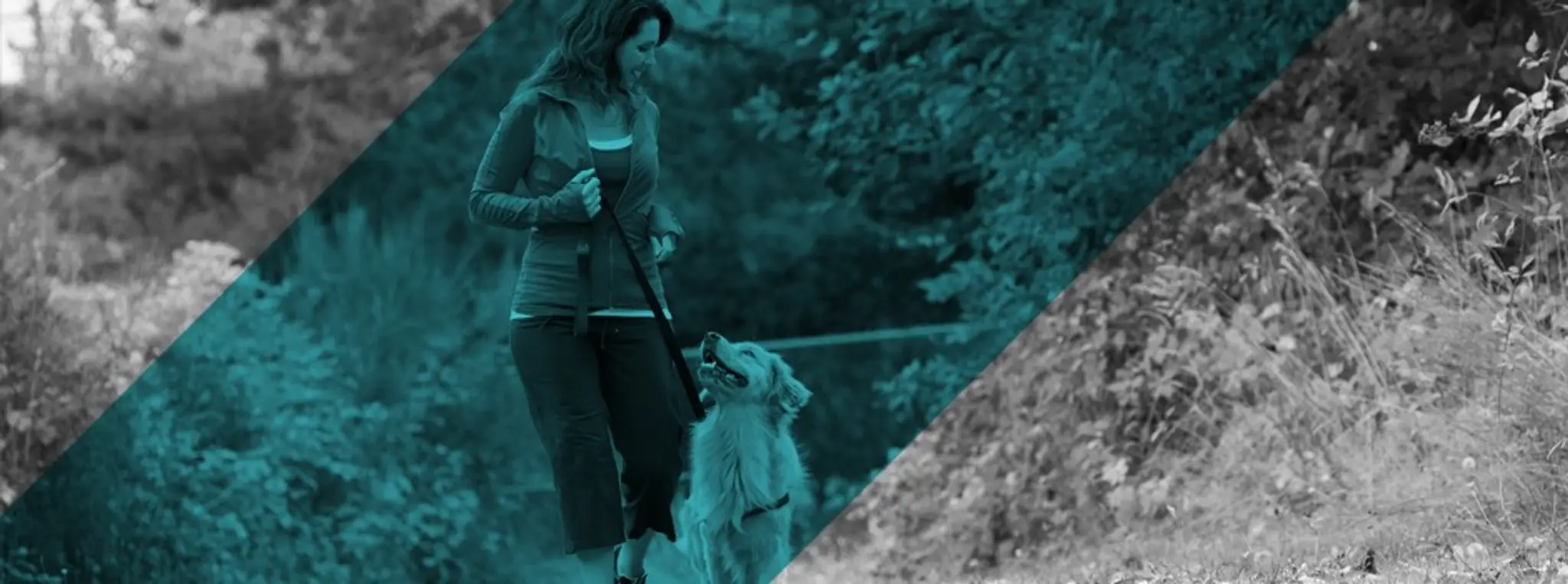 Physical Activity Australia