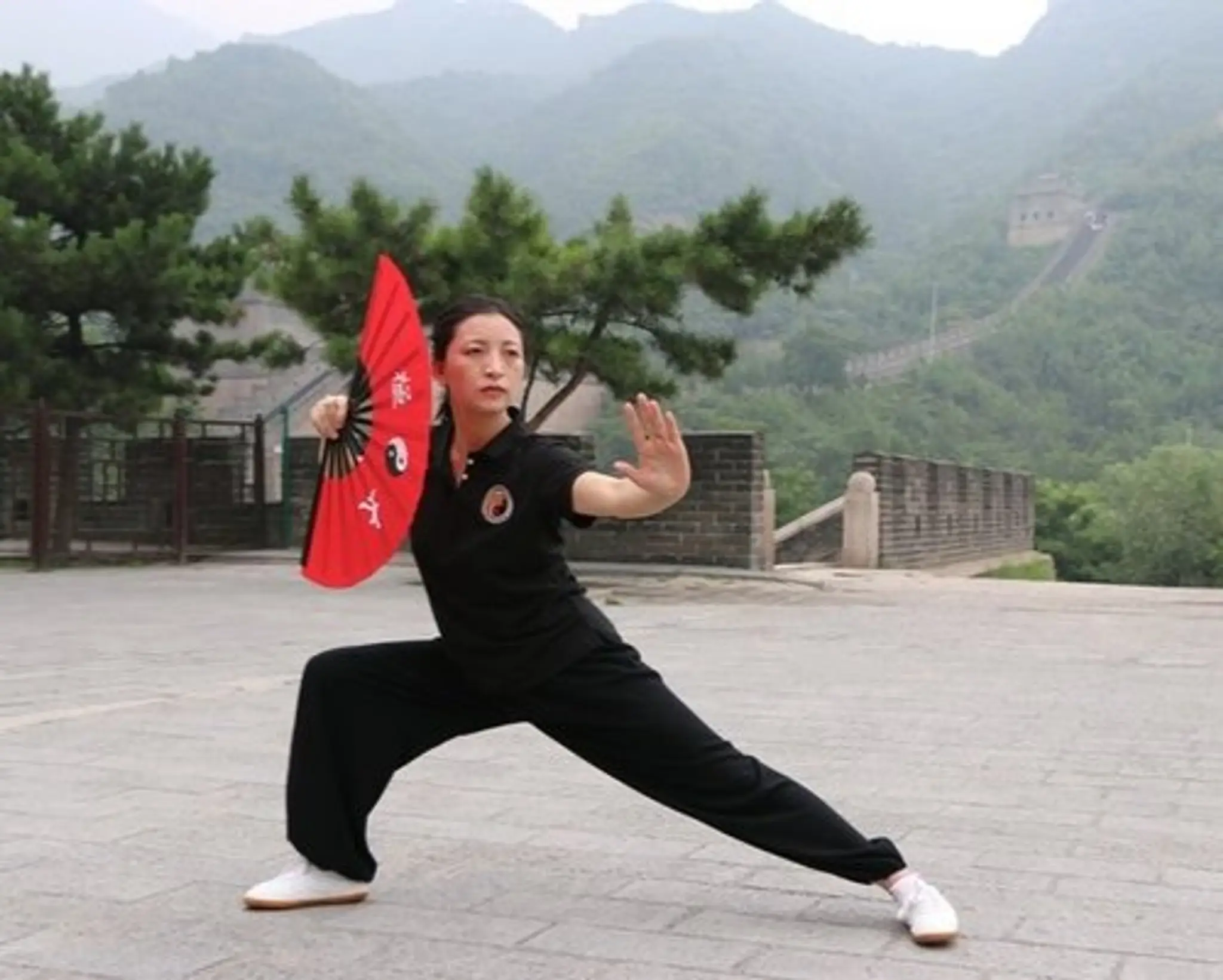 Wulong Tai Chi Kung Fu