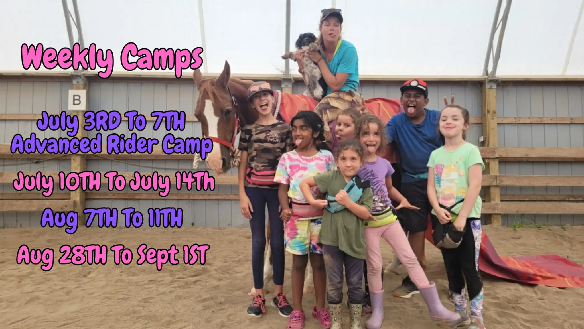 Smiling Faces Equestrian