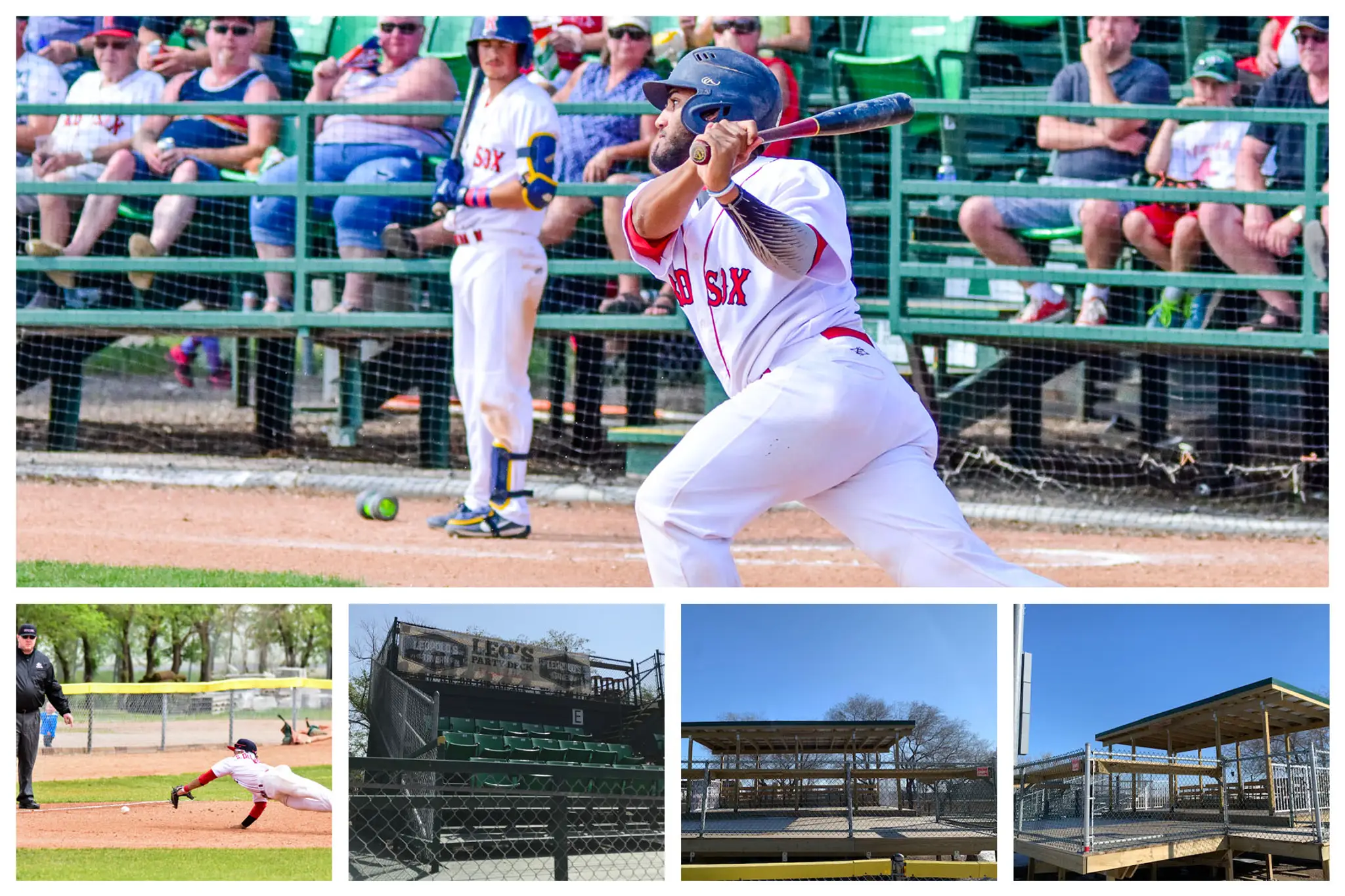 Regina Red Sox Baseball