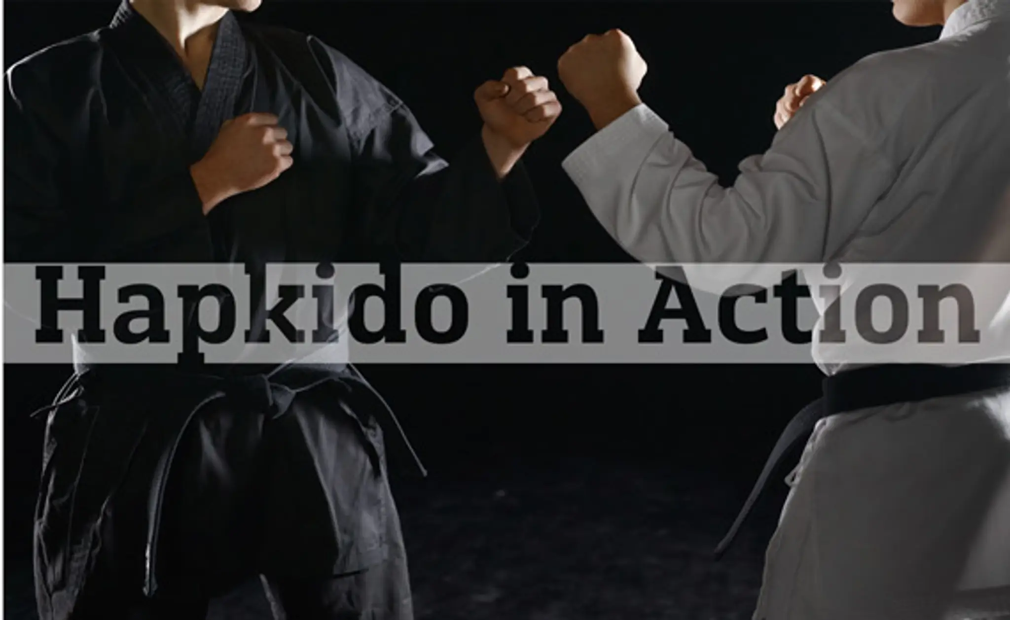 Melbourne Hapkido Academy