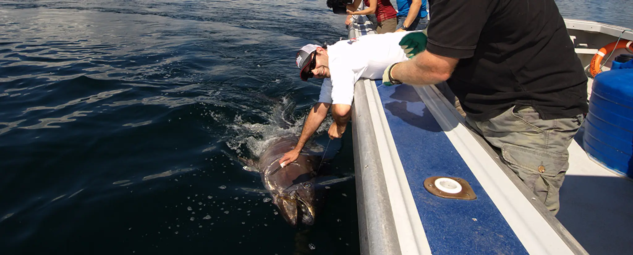 Scott Bruce Tuna Charters