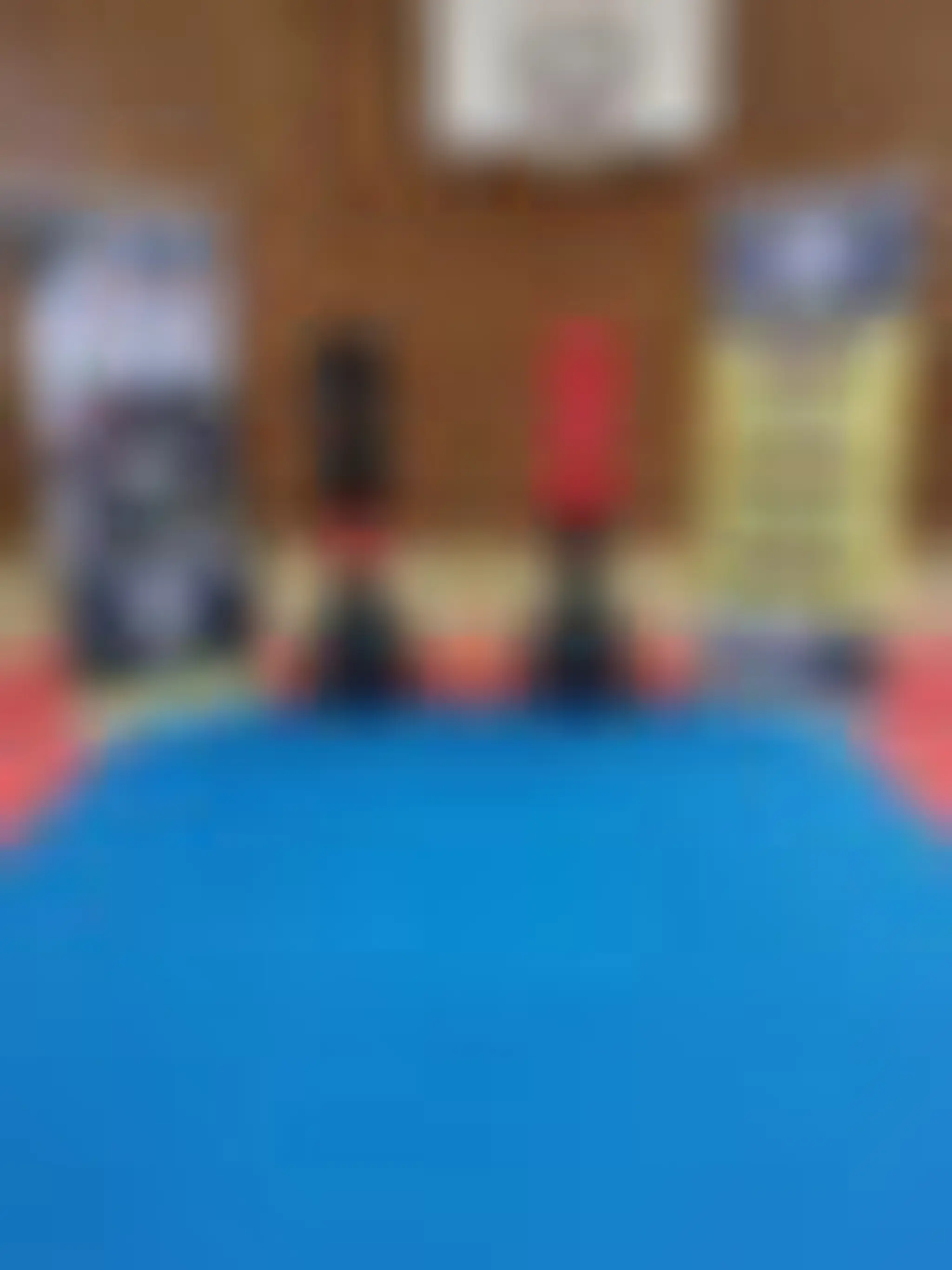 Williams Martial Arts