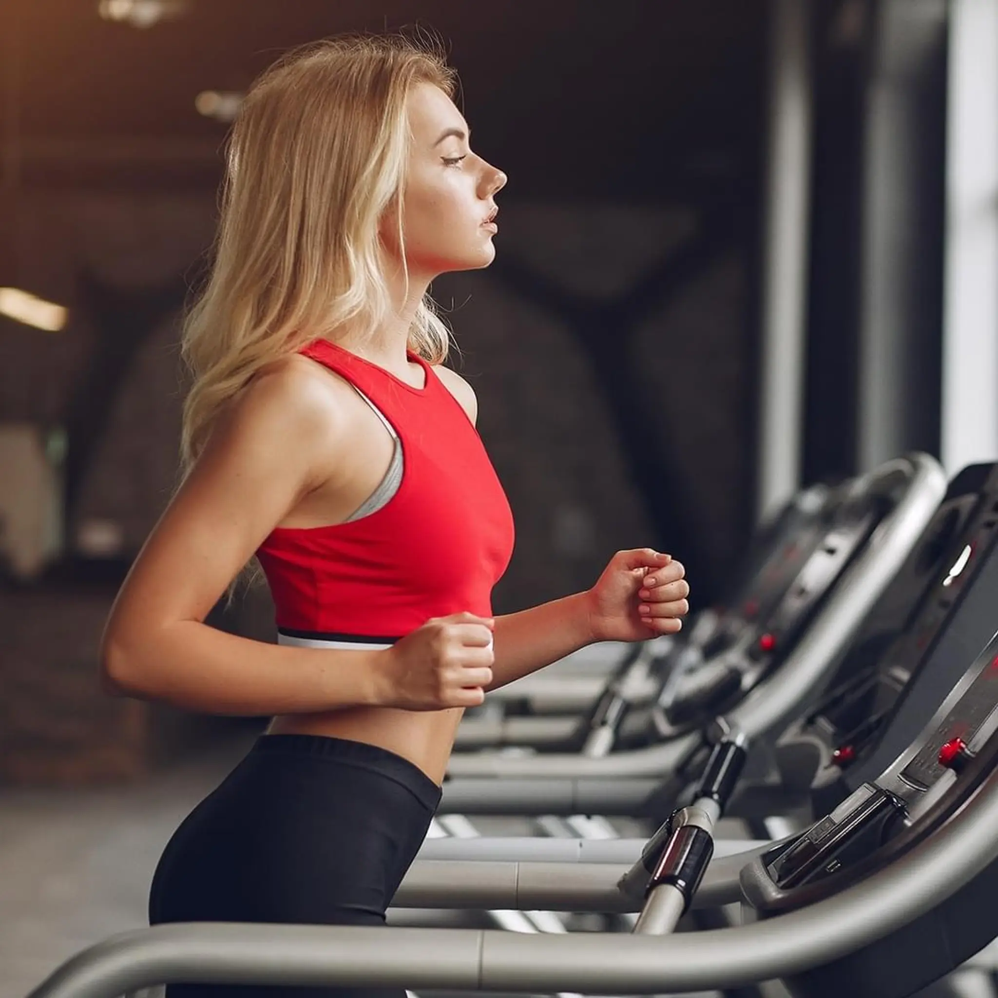 FIT WORLD