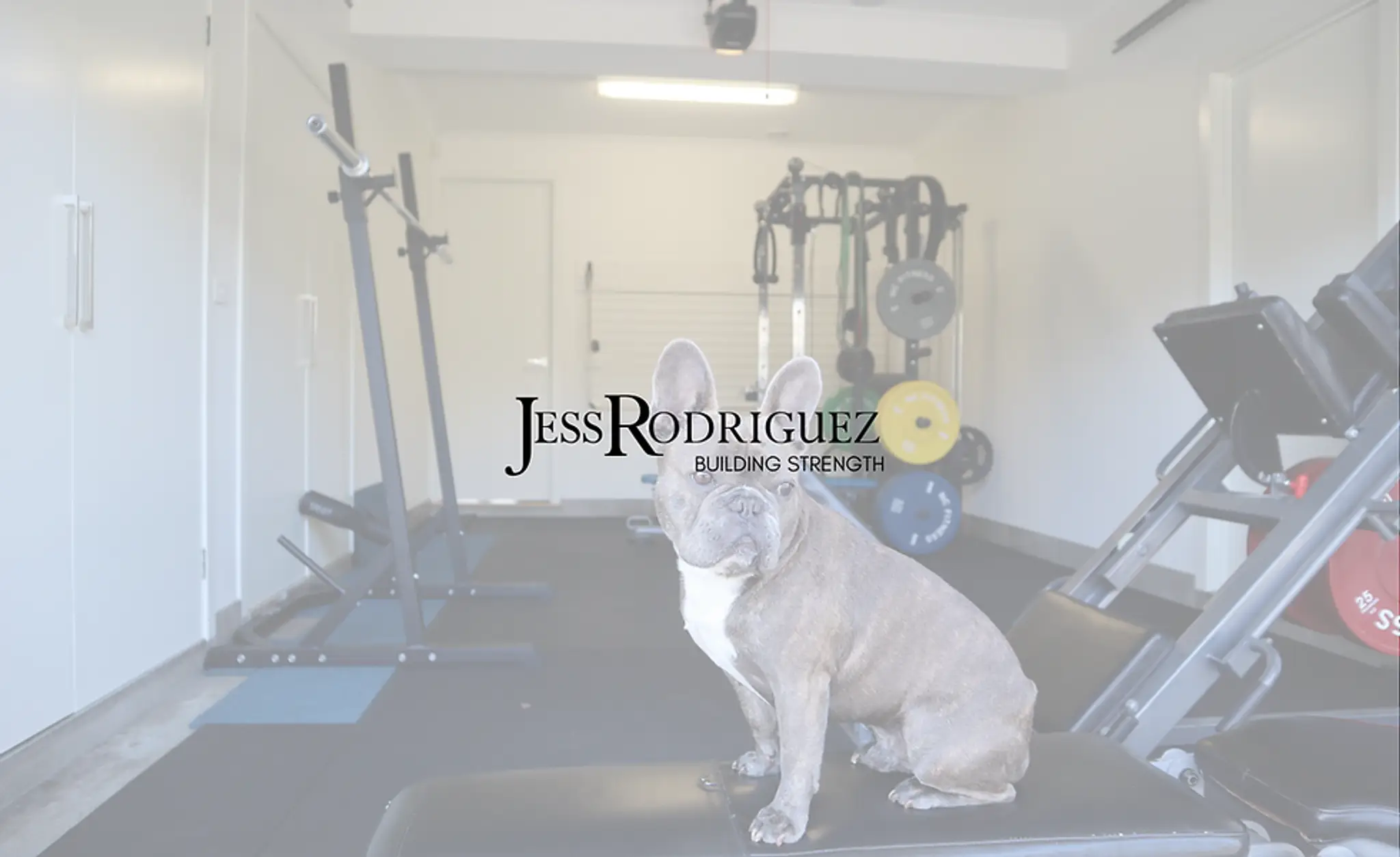 Jess Rodriguez Coaching